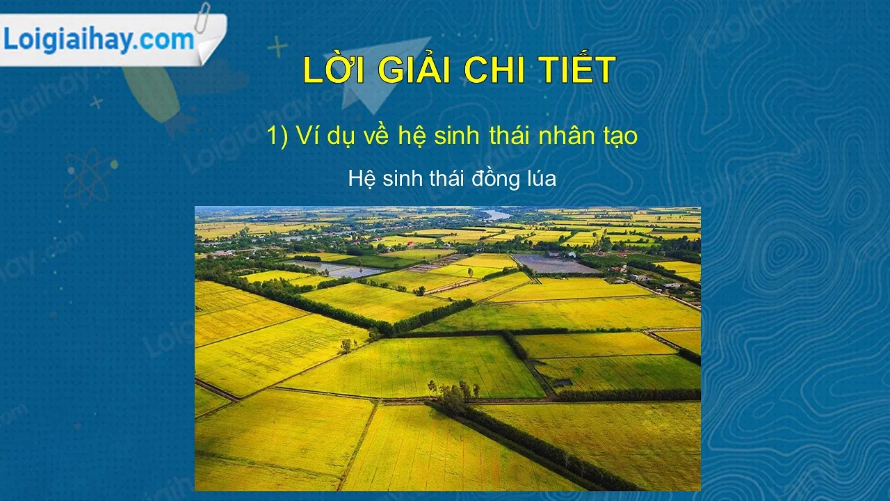 Khám phá hệ sinh thái đa dạng