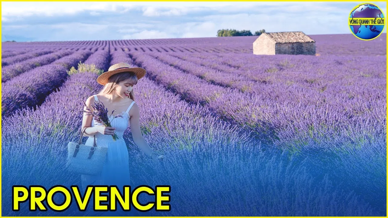 Giới thiệu về Provence và hoa lavender