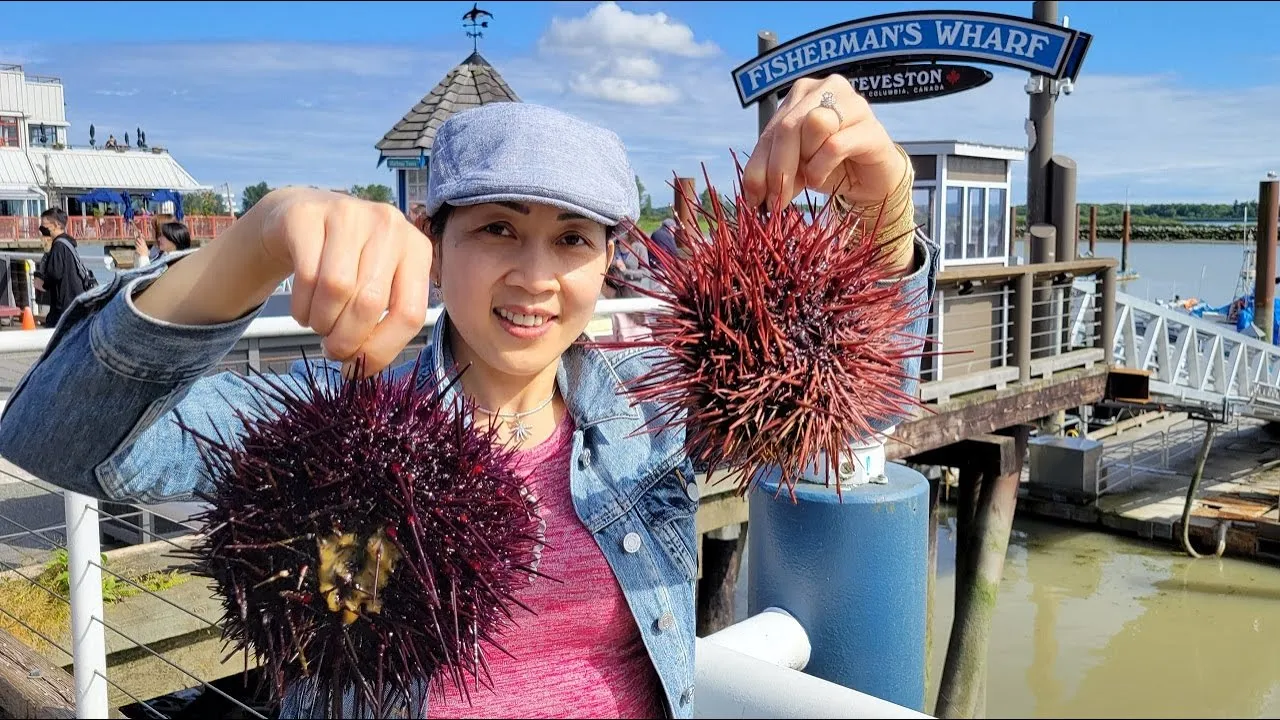 Giới thiệu về Làng Cá Hồi Steveston