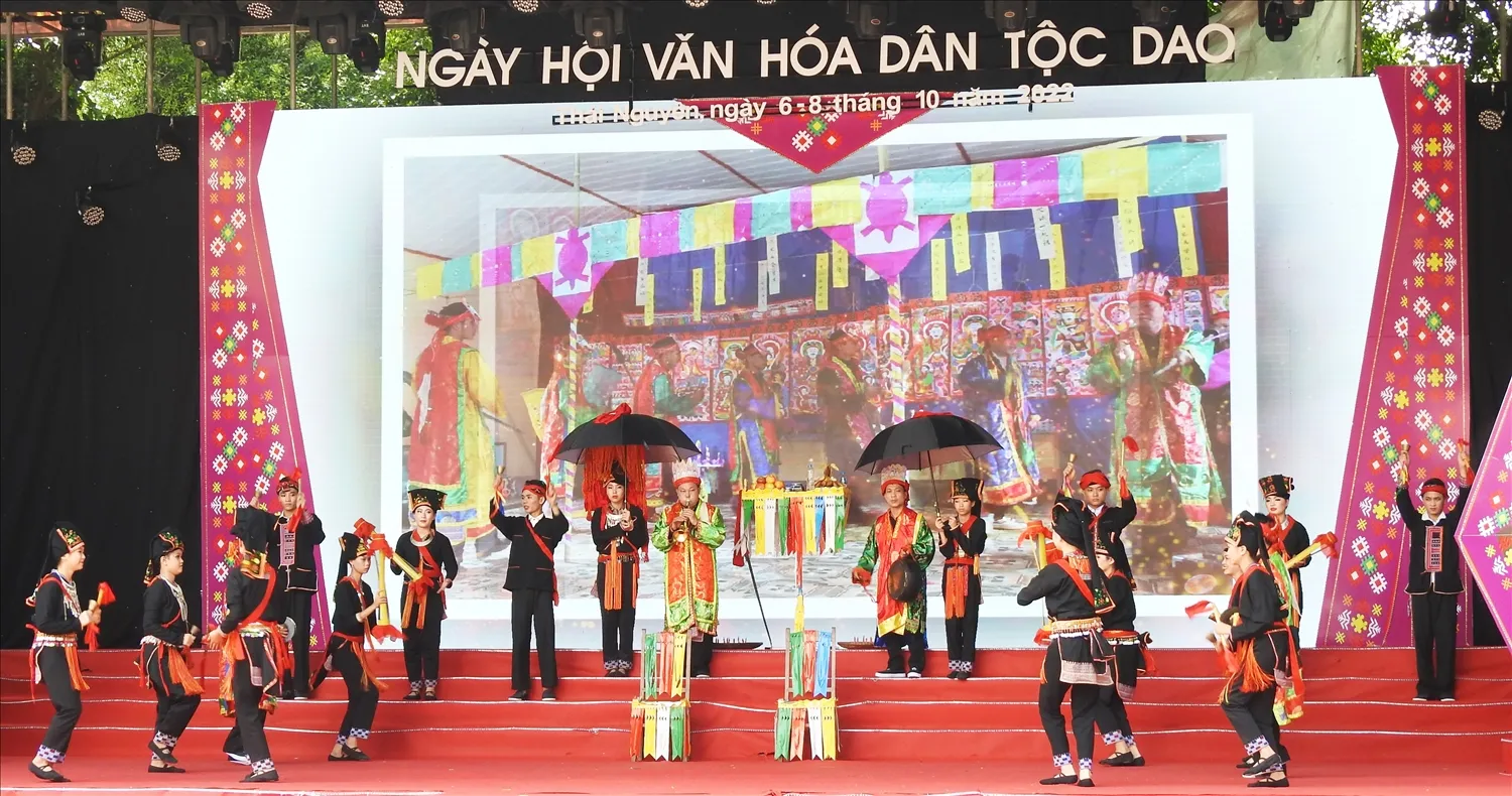 Tham Gia Các Hoạt Động Văn Hóa Đặc Sắc