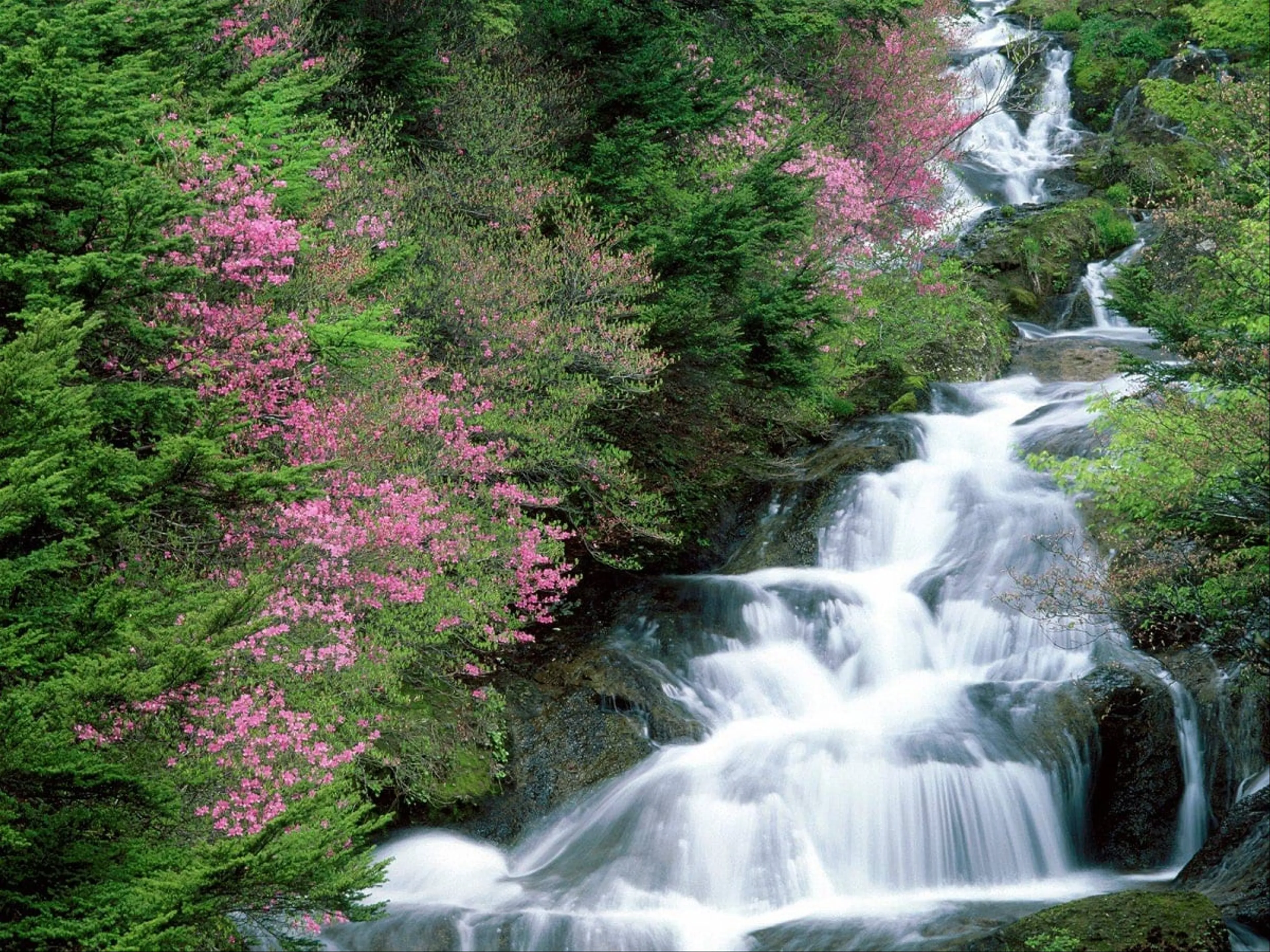 Hanoi - Phu Quoc tour 3 days 2 nights