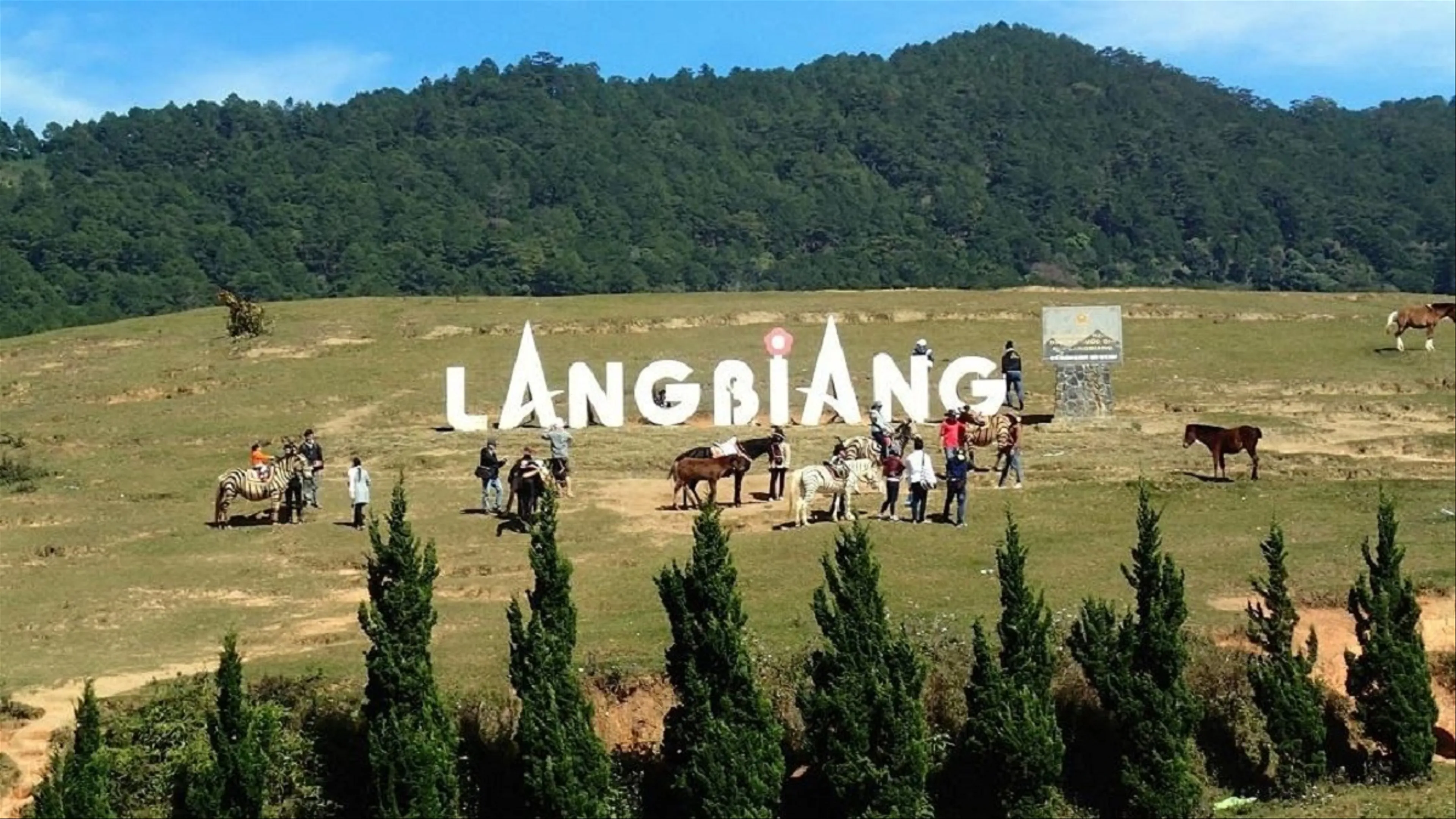 Tour du lịch Sài Gòn - Đà Lạt 2 ngày 2 đêm
