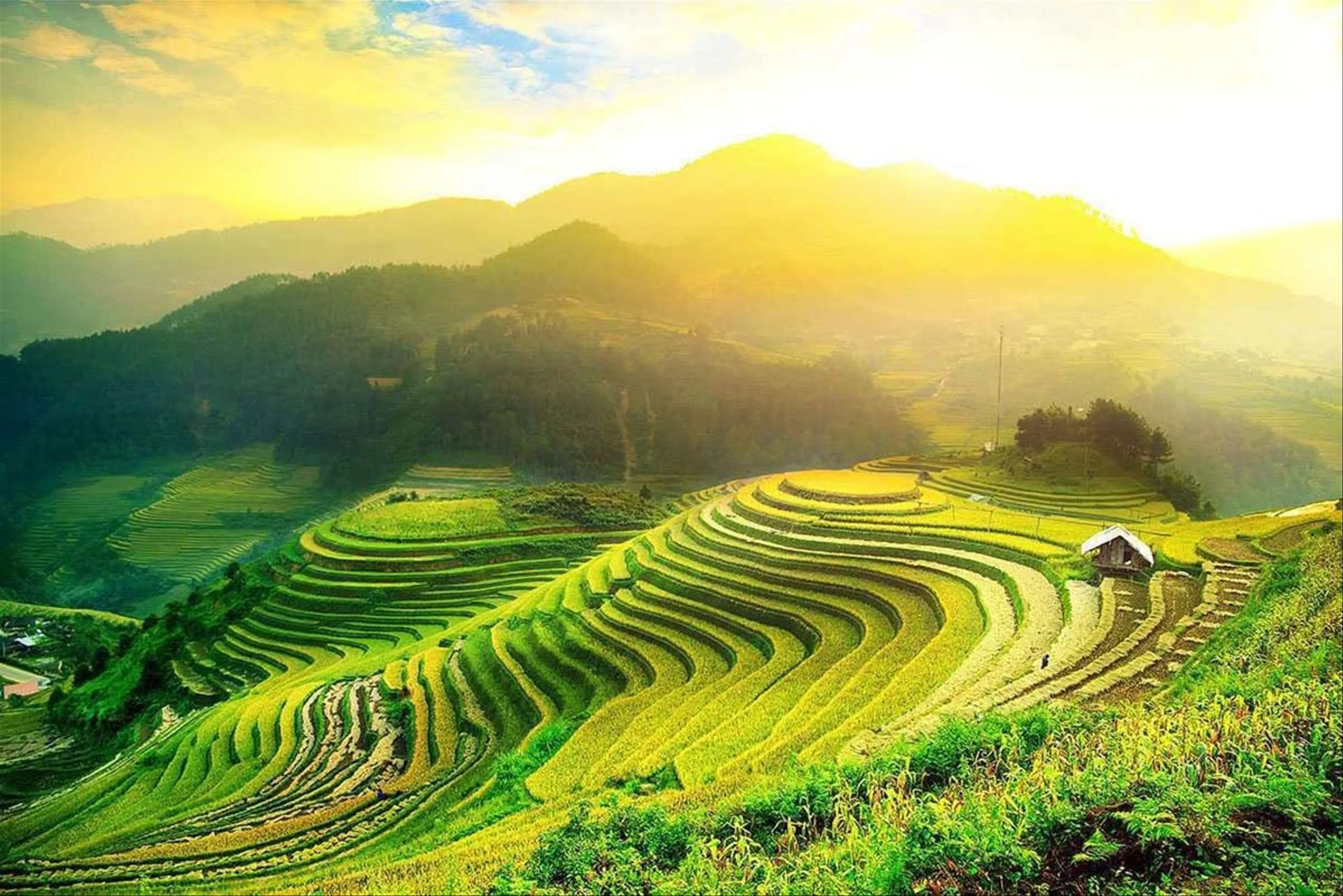 Ha Giang