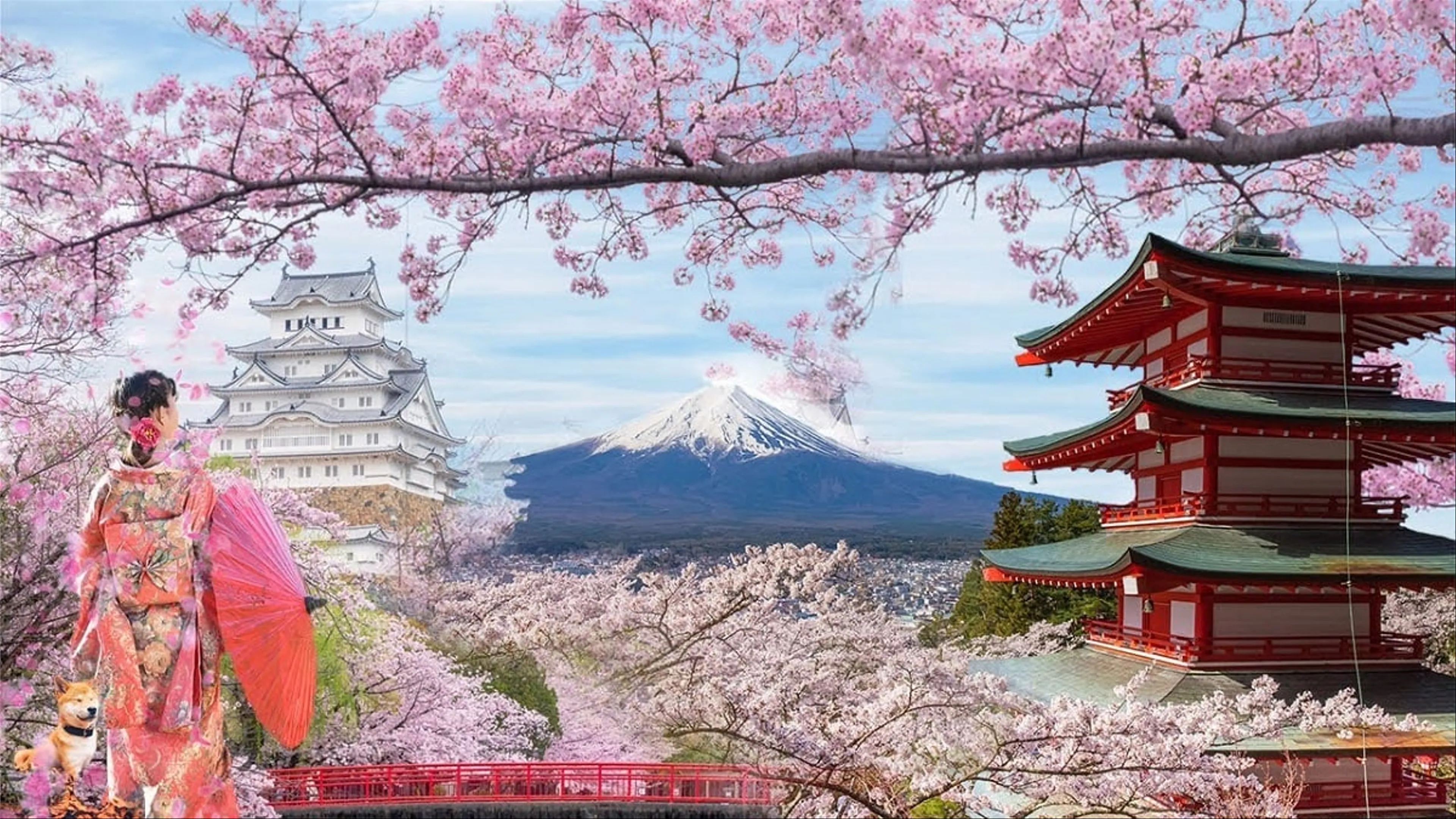 Những điều cần biết khi đến thăm Tokyo