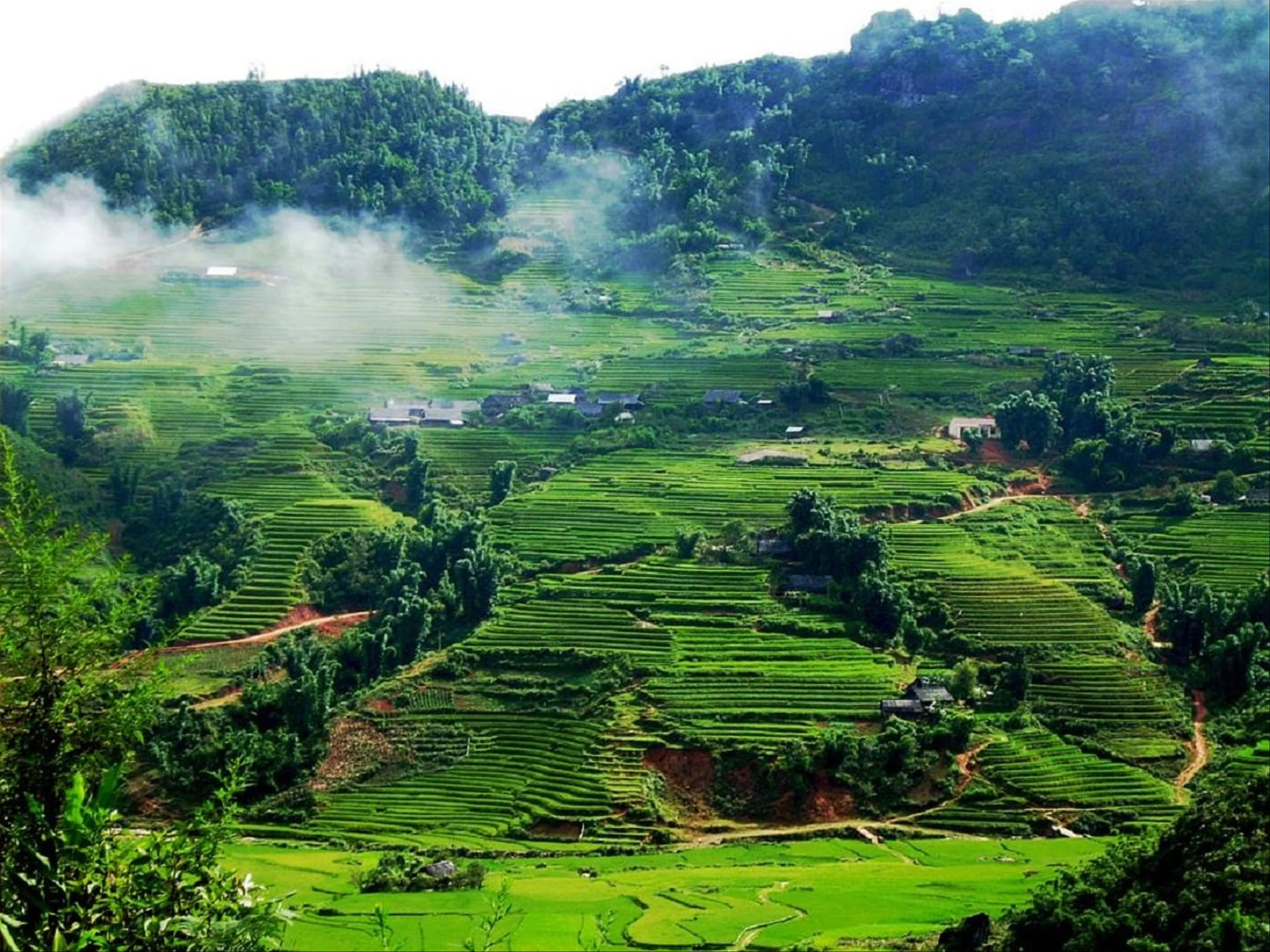 Tour Hà Nội - Mộc Châu 2 ngày 1 đêm: Chinh Phục Đỉnh Pha Luông