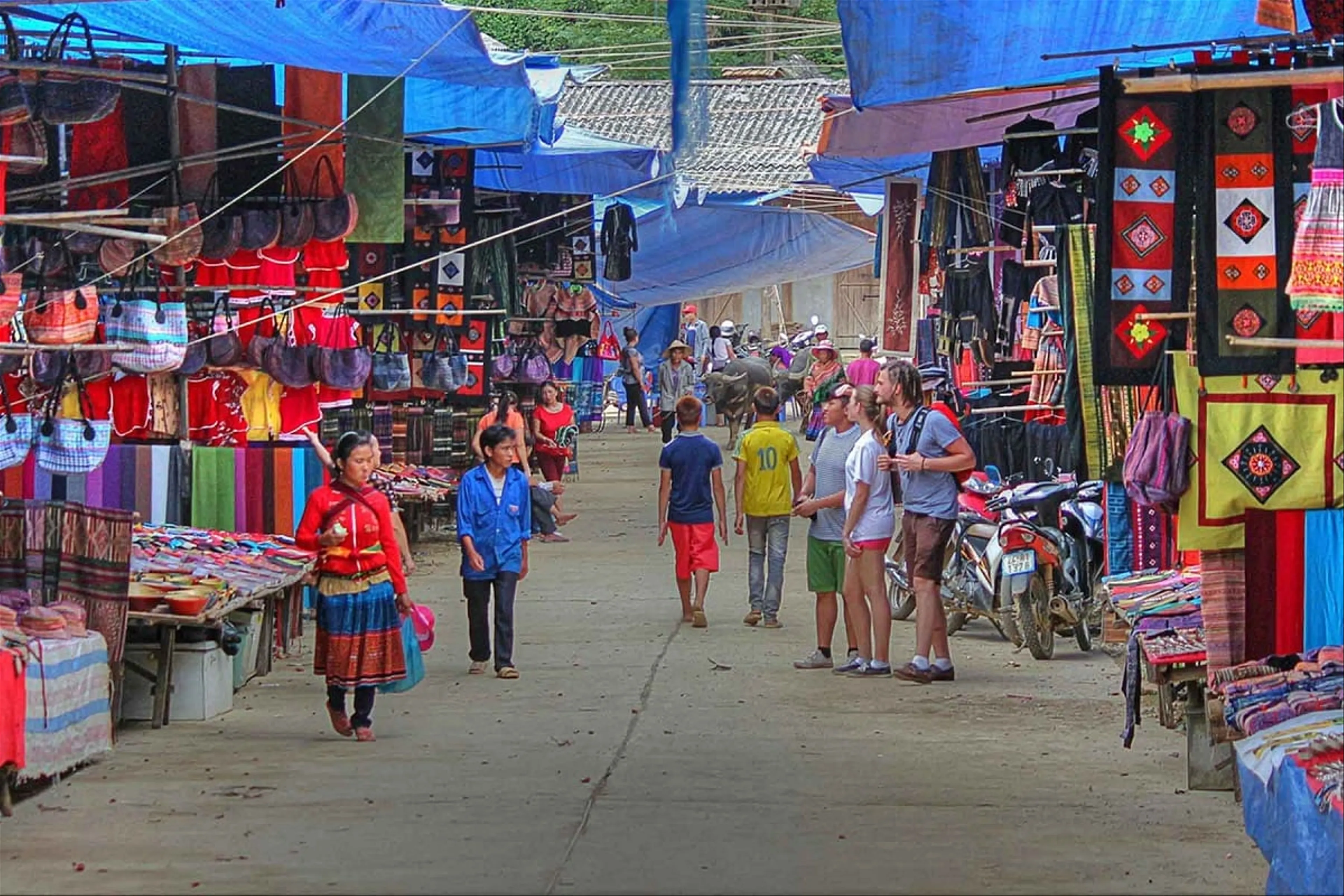 Tour du lịch Hà Nội - Bắc Hà 2 ngày 1 đêm