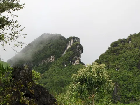 Núi Hàm Rồng (Sapa - Lào Cai)