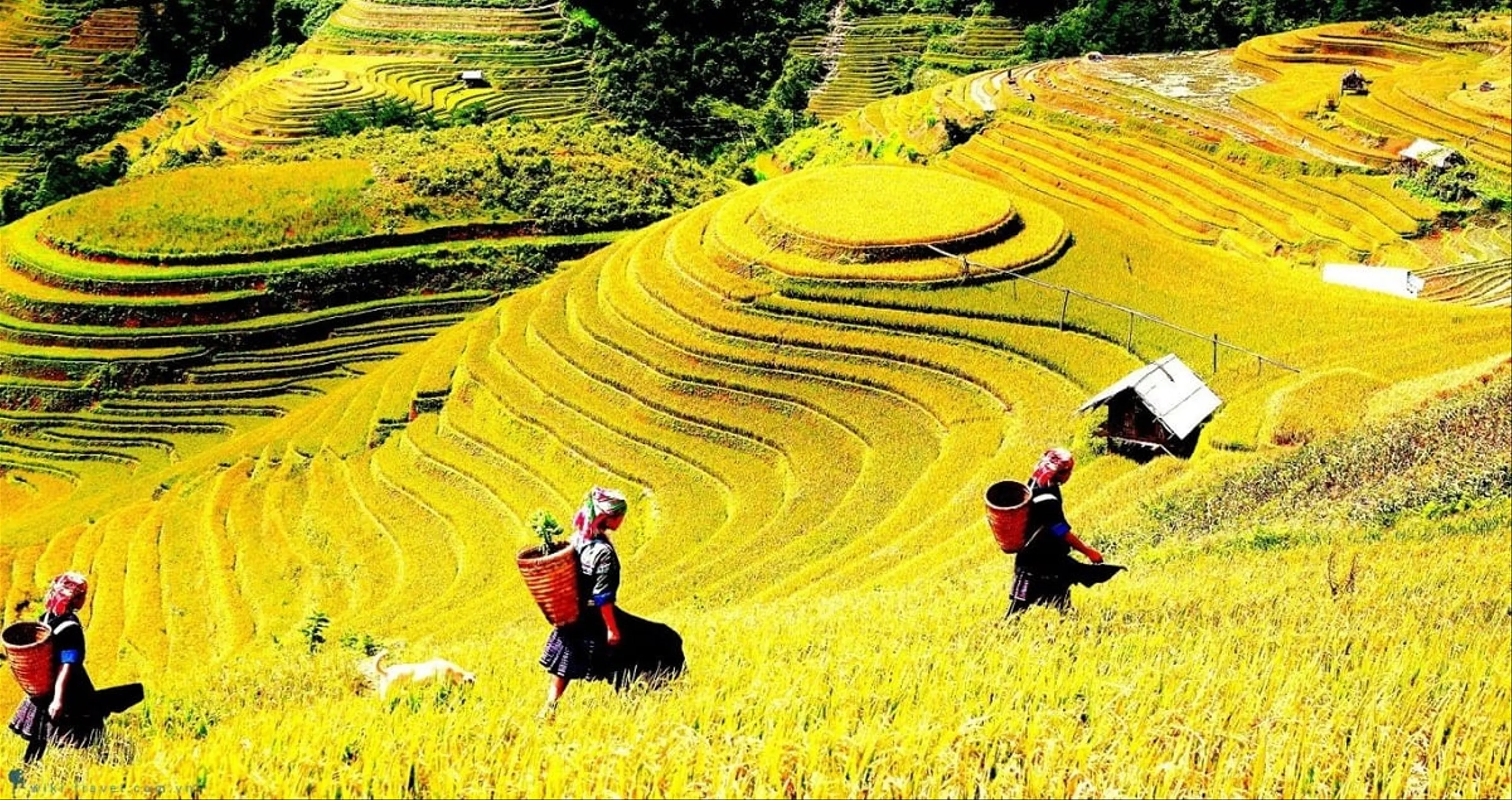 Tour Hà Nội - Sapa - Fansipan - Secrect Garden 3 ngày 2 đêm