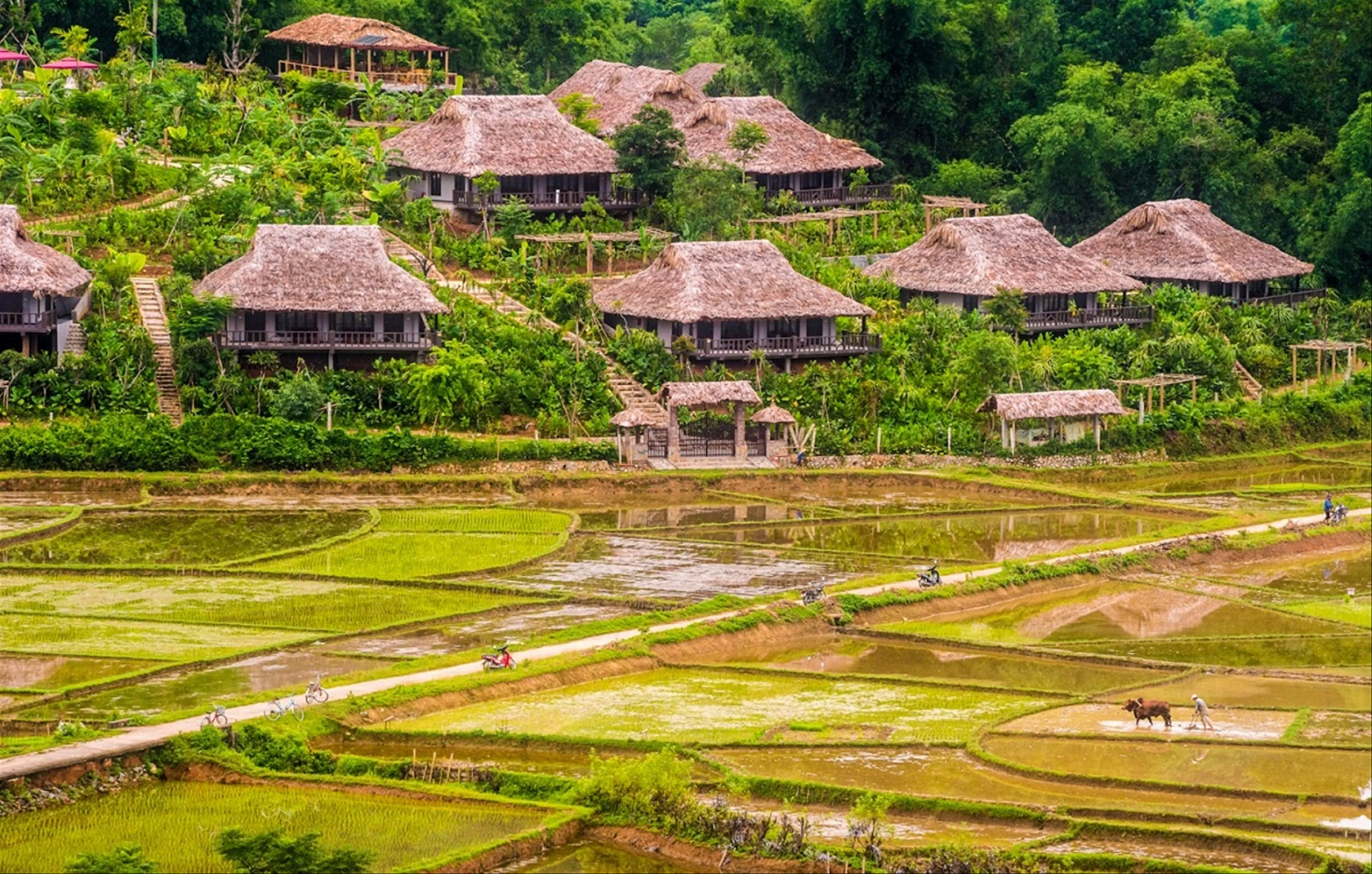 Tour Hà Nội - Sơn La 2 ngày 1 đêm : Mộc Châu - Happy Land - Thác Dải Yếm