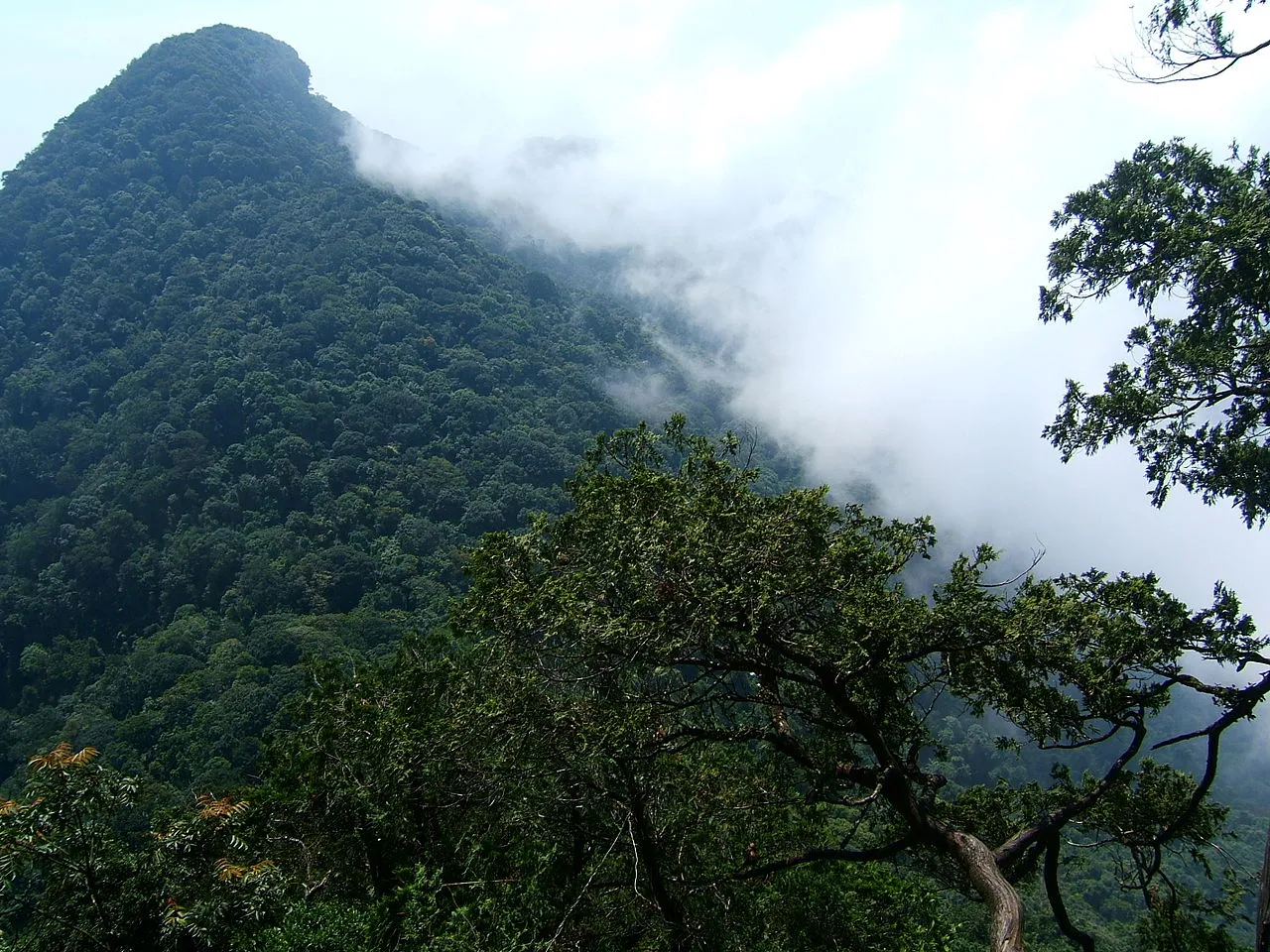 mist filled mountains in ba vi national park