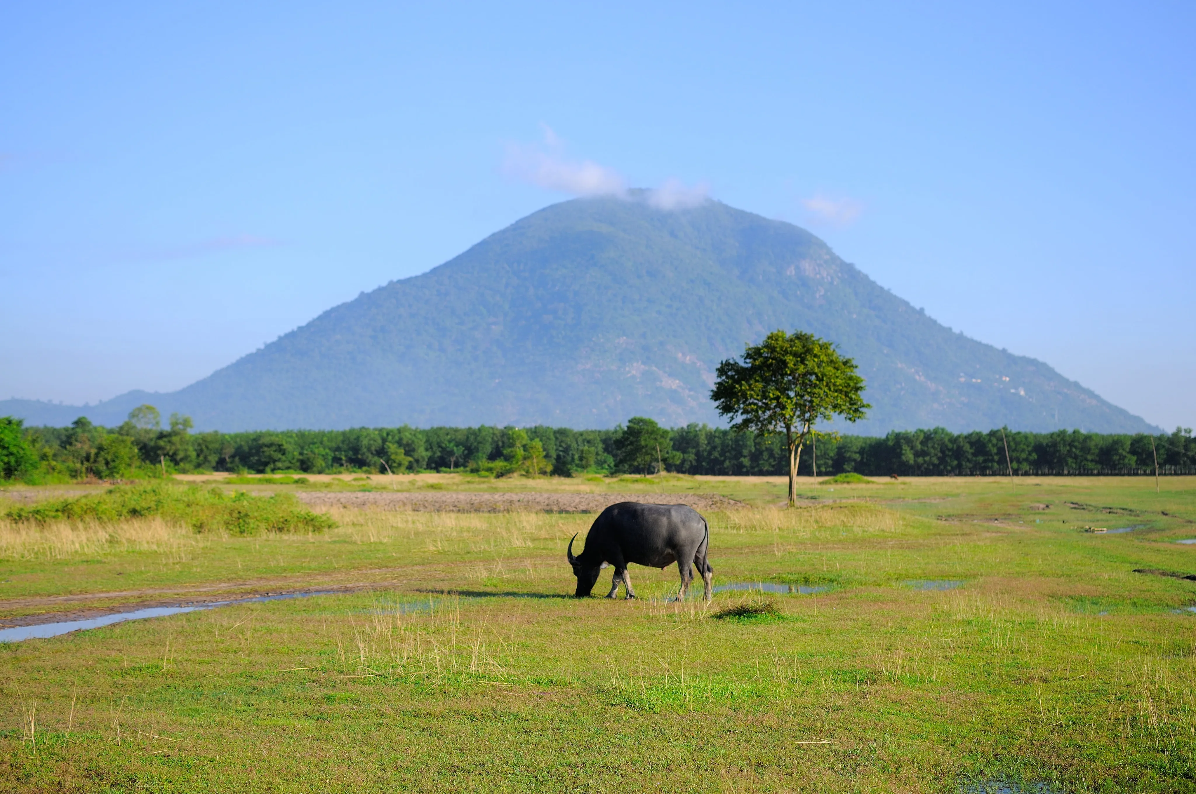 View of Ba Den Mountain
