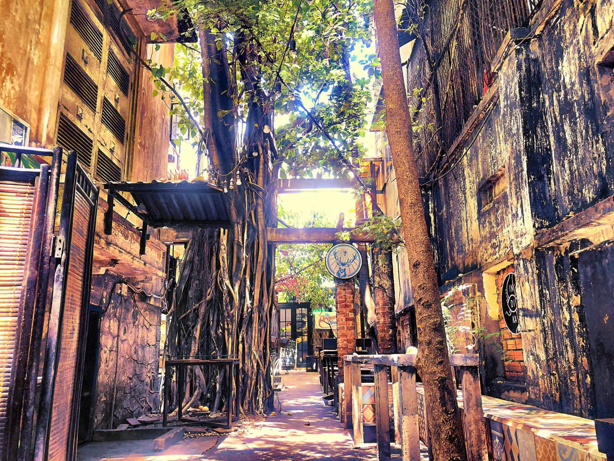 Photo courtesy of Indika Saigon