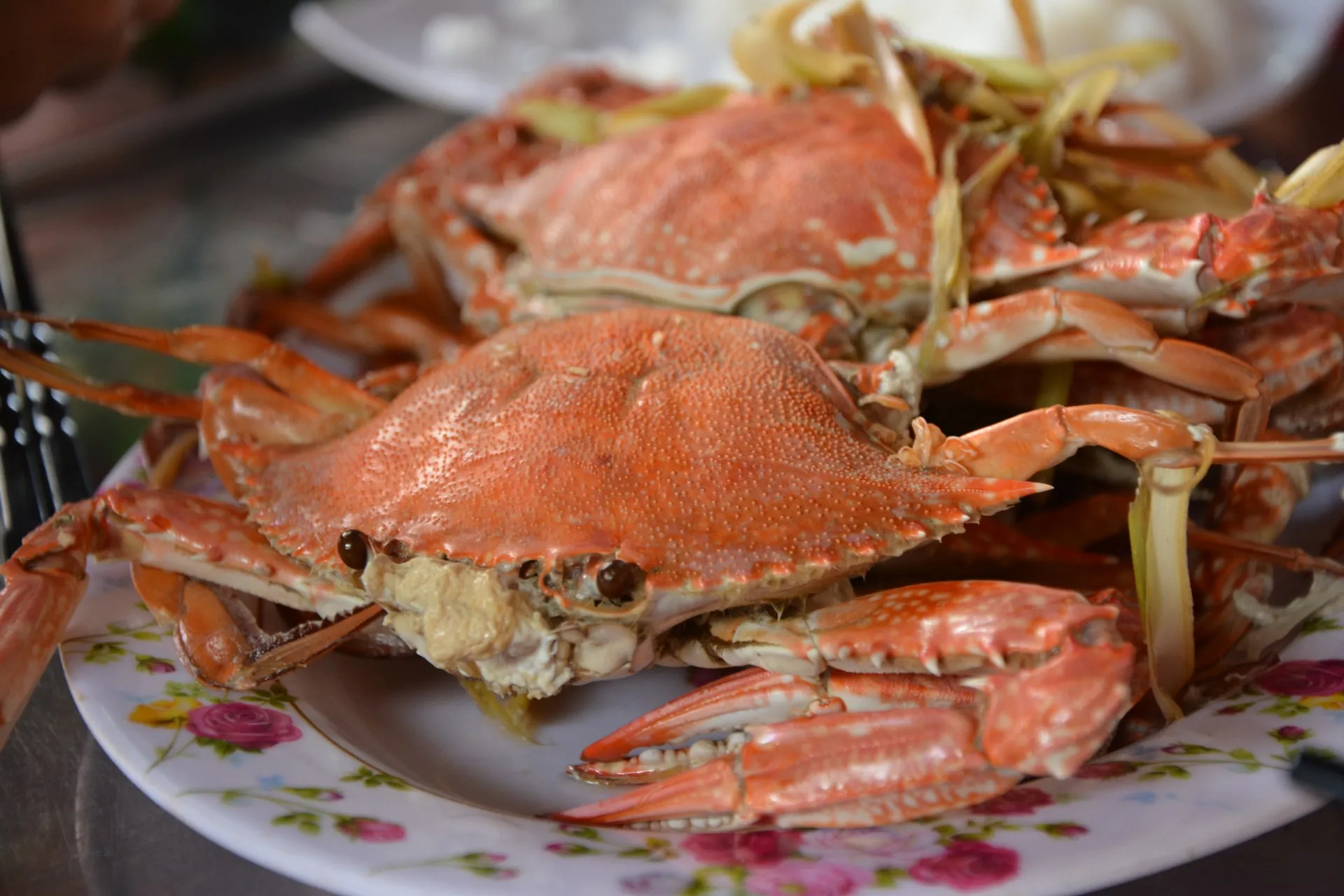 Fresh seafood