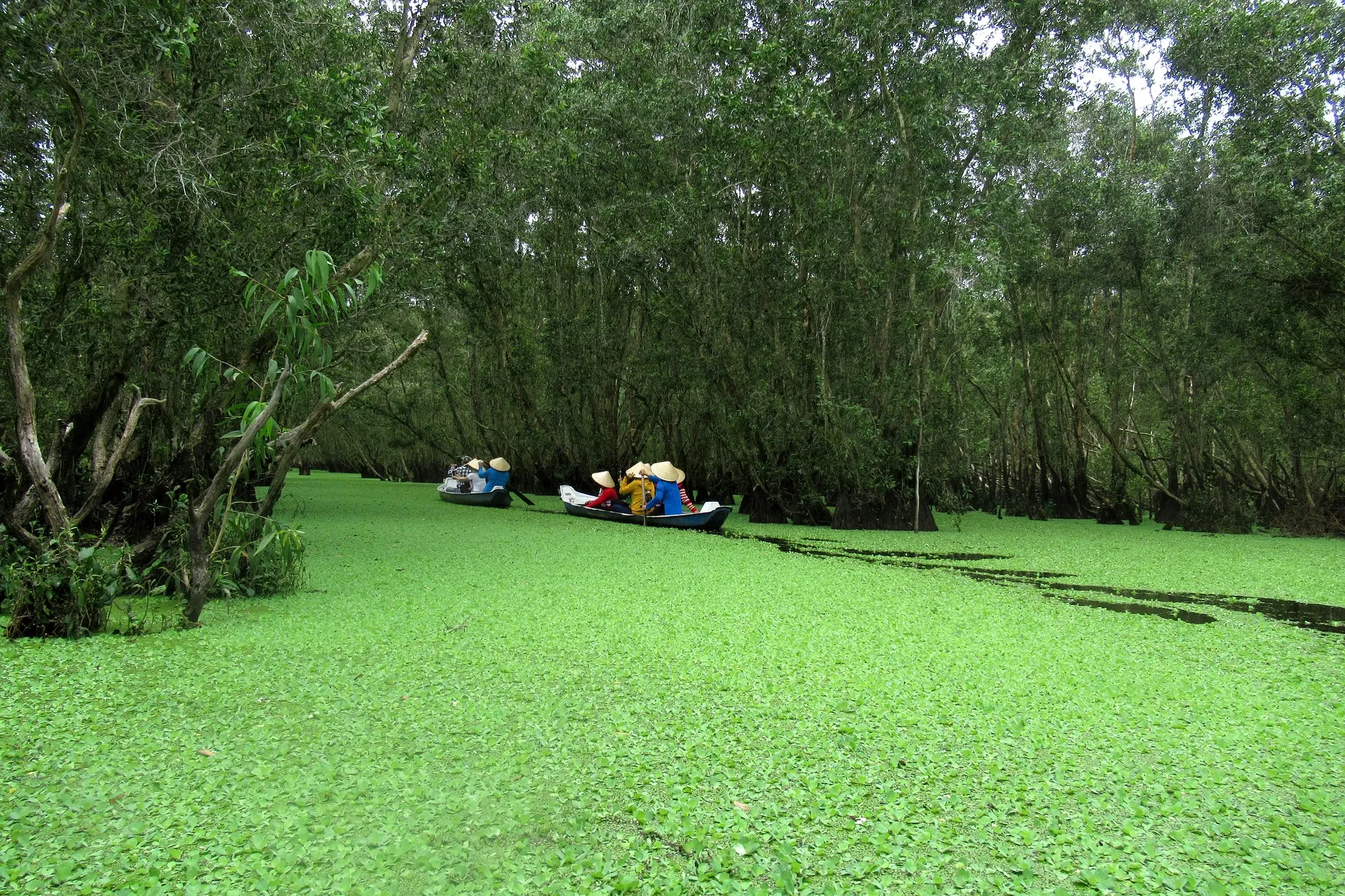boats on a mekong delta marshland