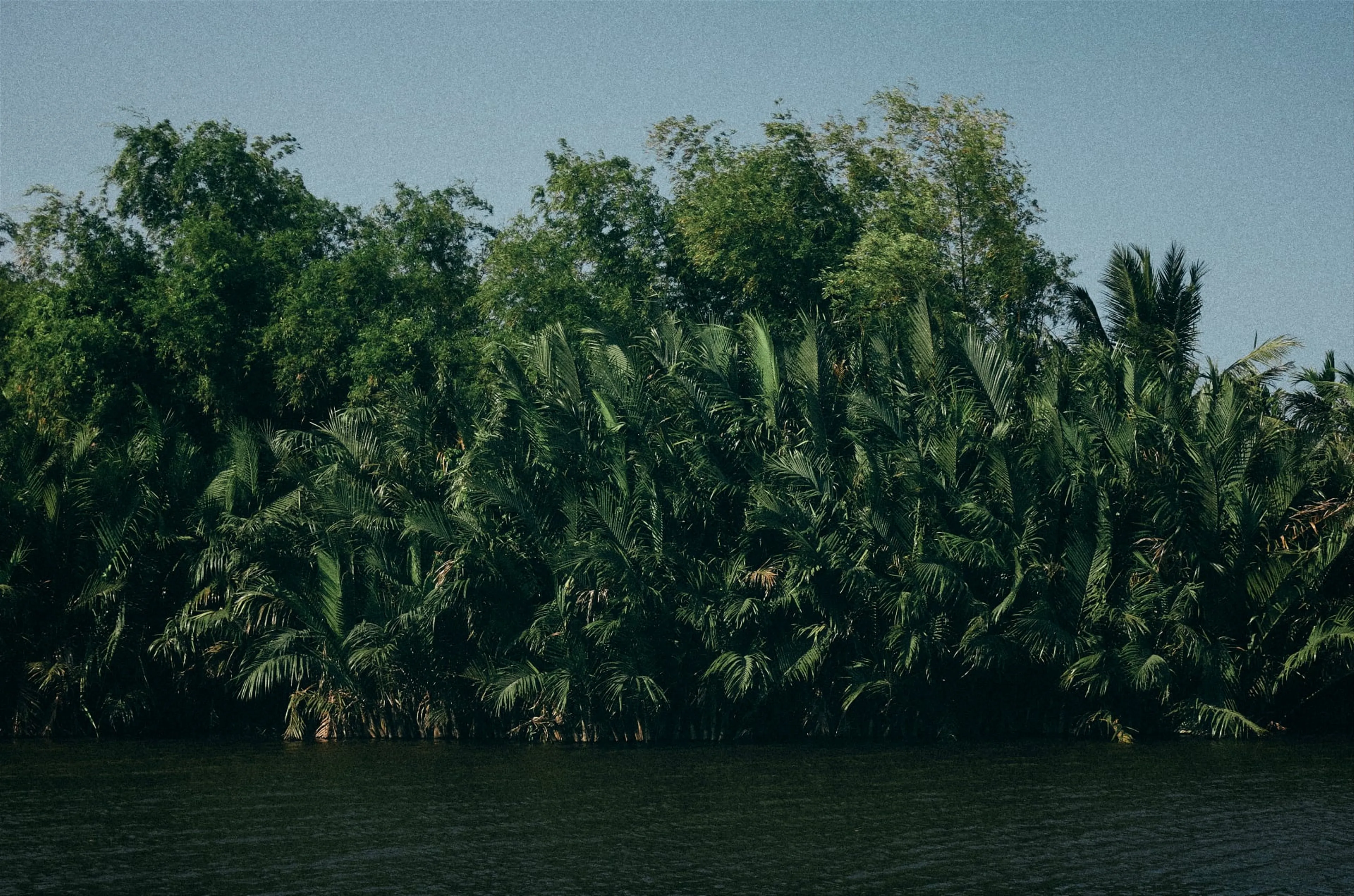 Explore The Wild Nature of U Minh Ha National Park