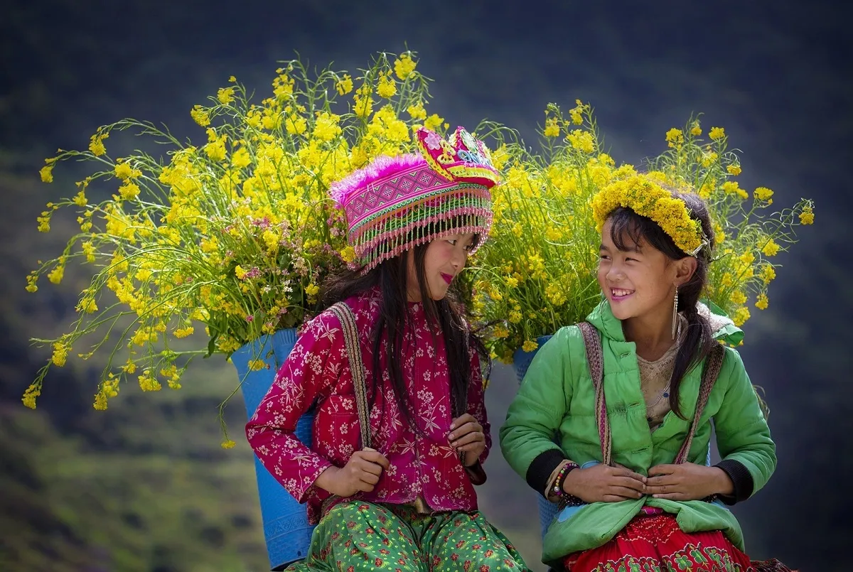 Hoa cải Hà Giang