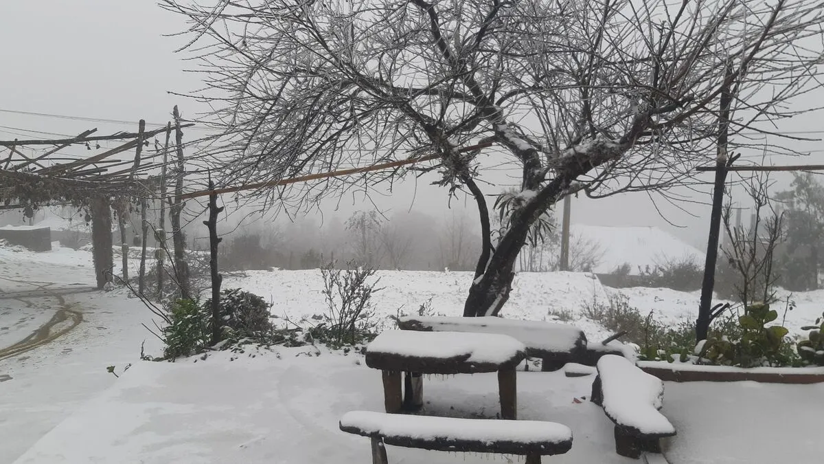 Snow falls in SaPa