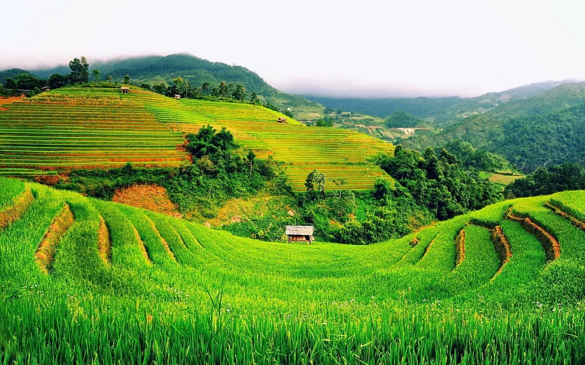 Beautiful scenery of Sapa in summer
