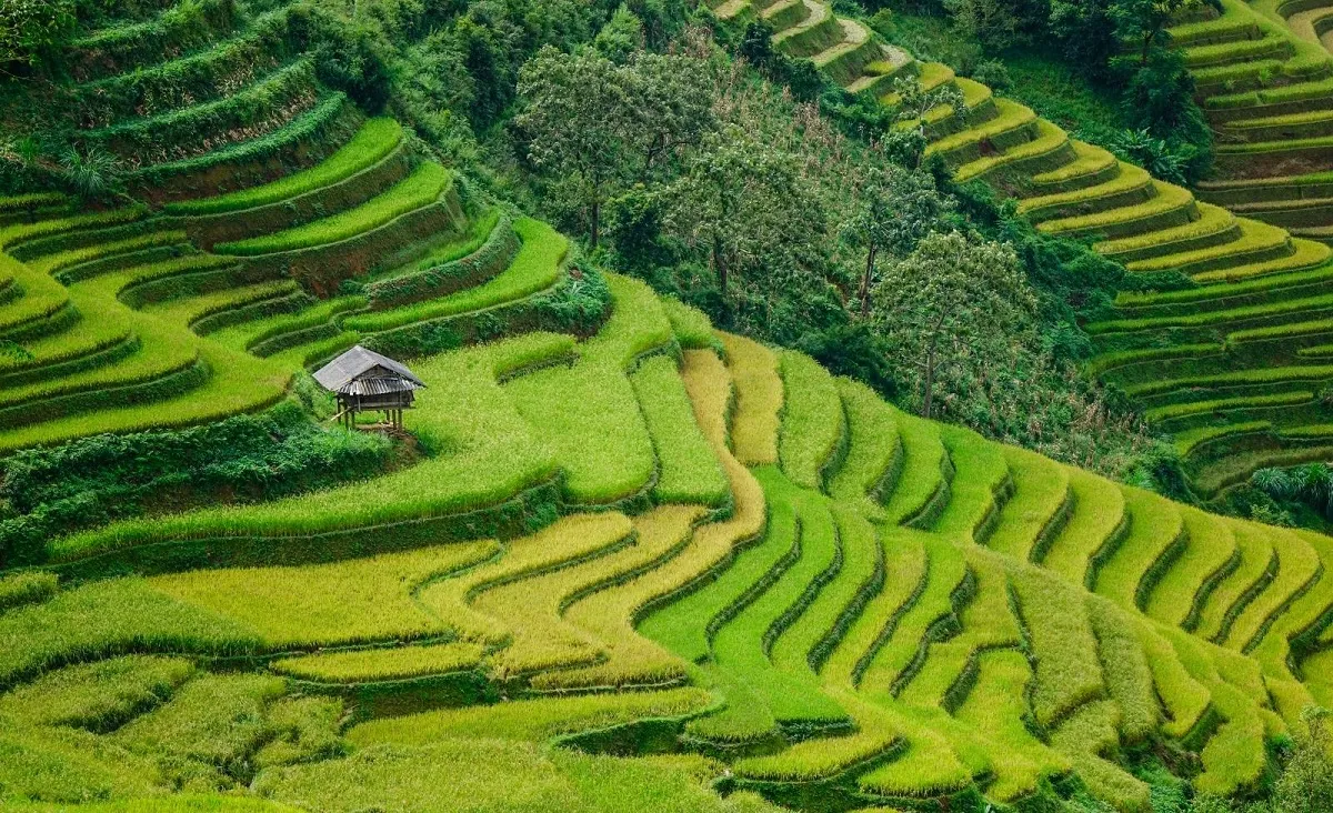 The lyrical and poetic beauty of Ta Phin village