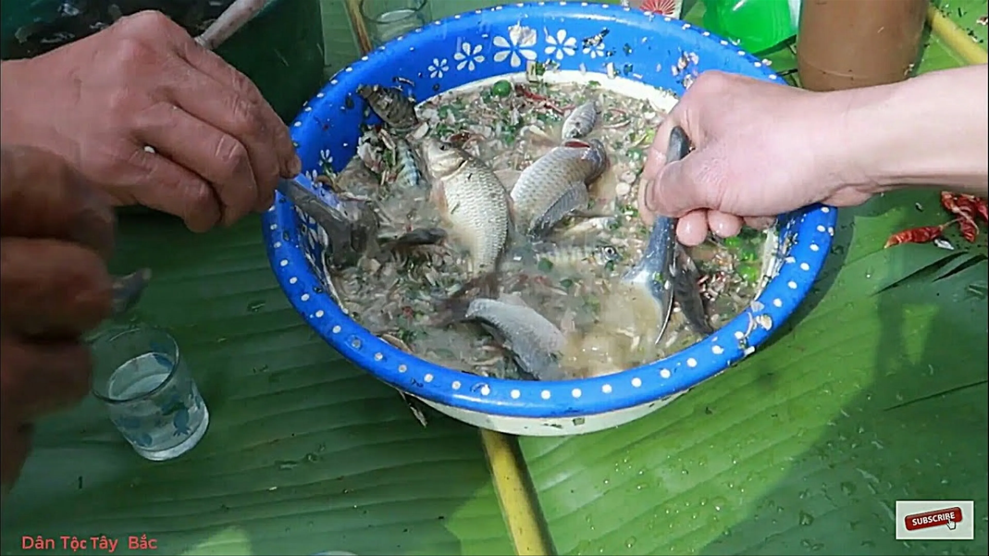 Cùng trải nghiệm đặc sản gỏi cá nhảy trong miệng chỉ có tại Sơn La