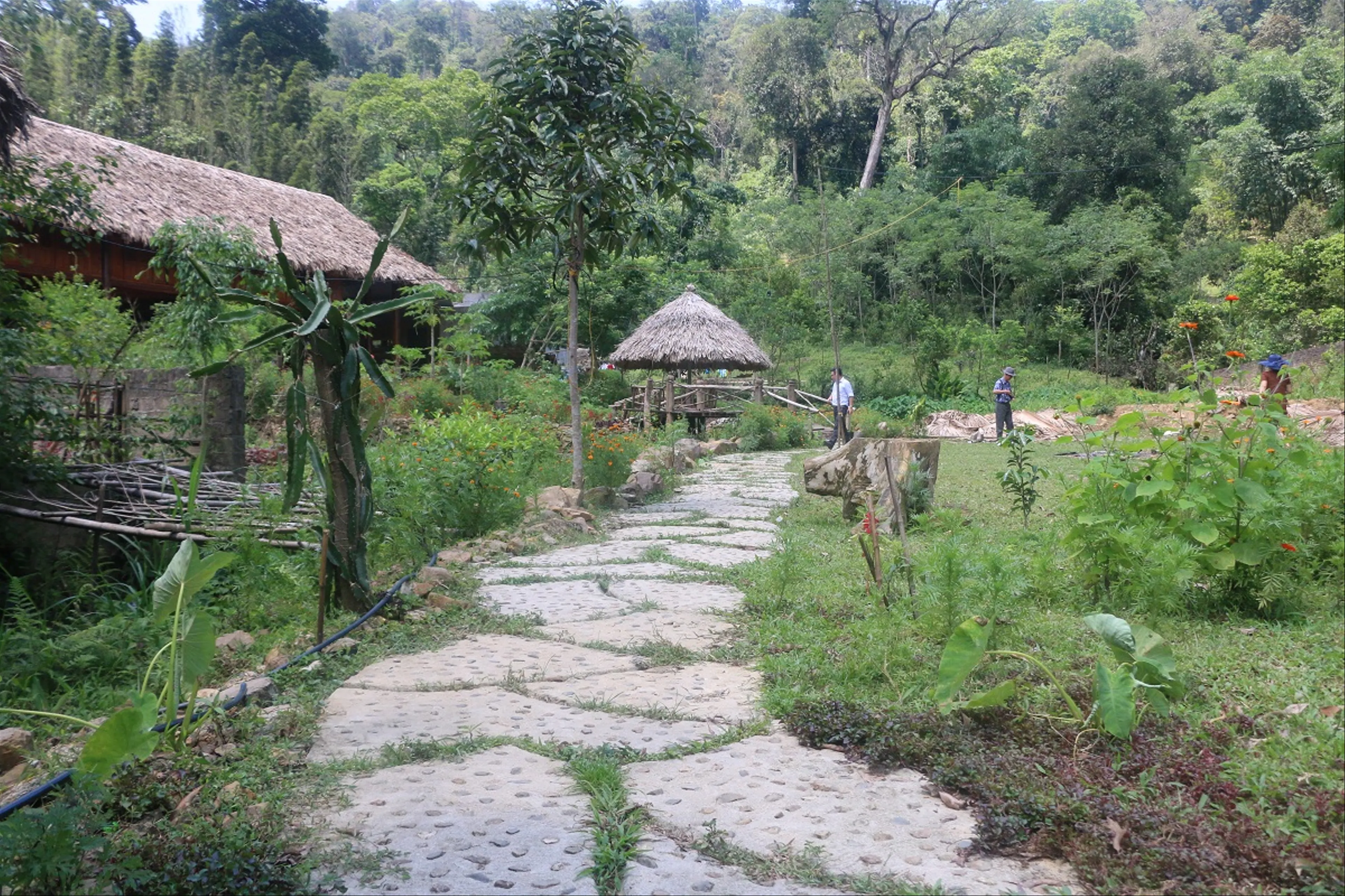 6 homestay đậm đà bản sắc nơi núi đồi trung du