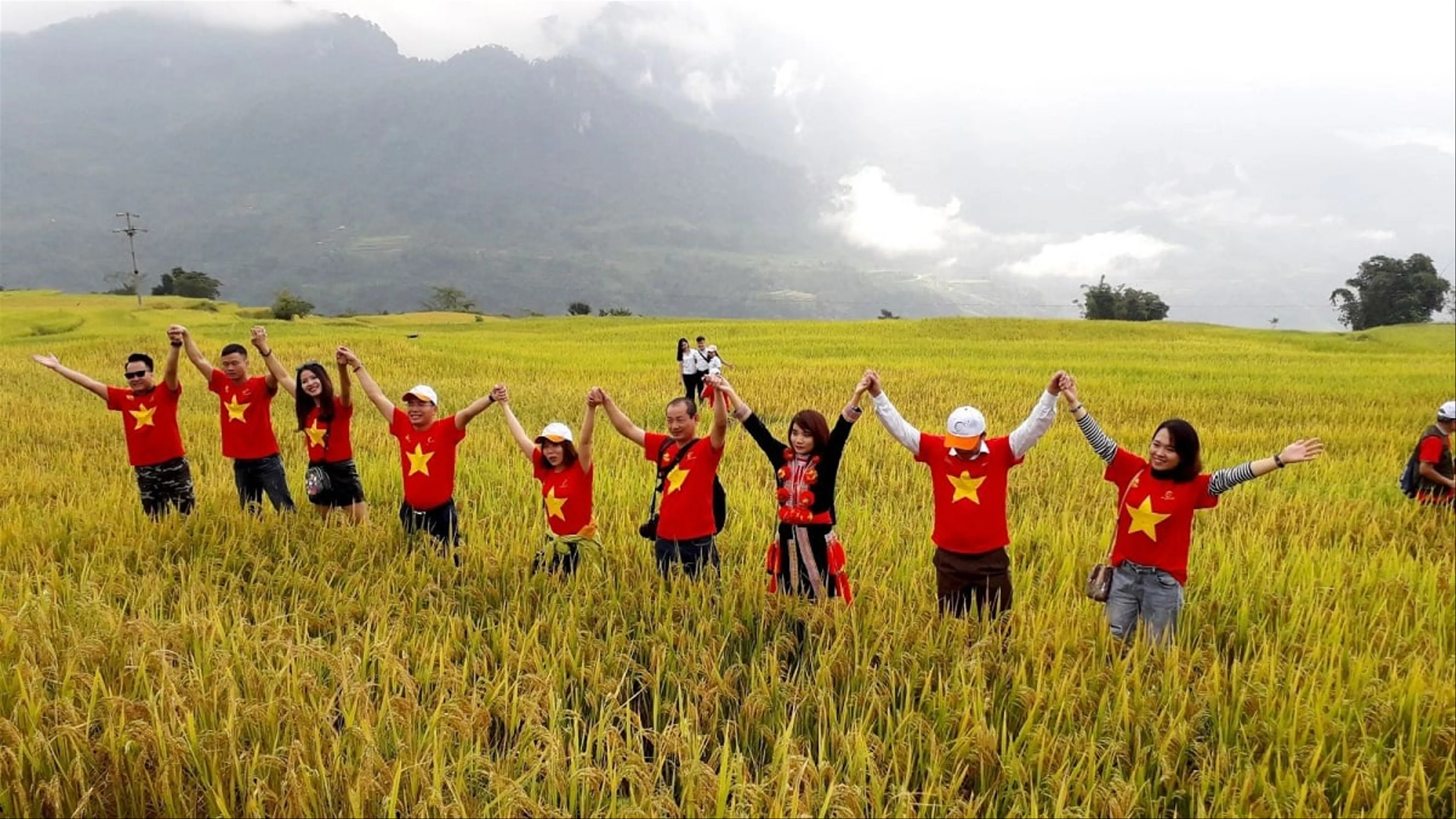 Thời điểm vàng để săn ngắm mùa lúa chín Hồng Thái