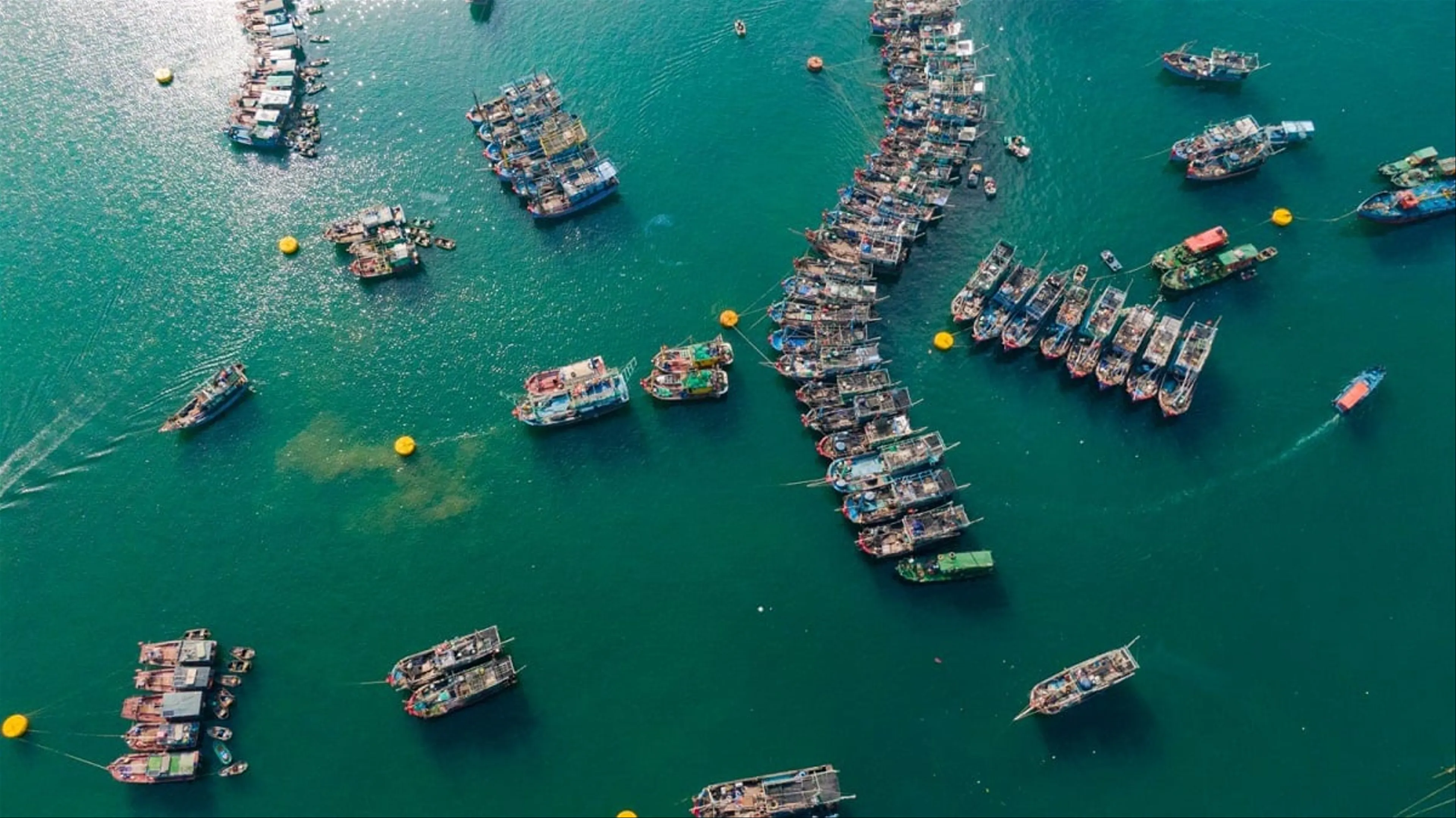Kinh nghiệm du lịch đảo Bạch Long Vĩ cực chi tiết