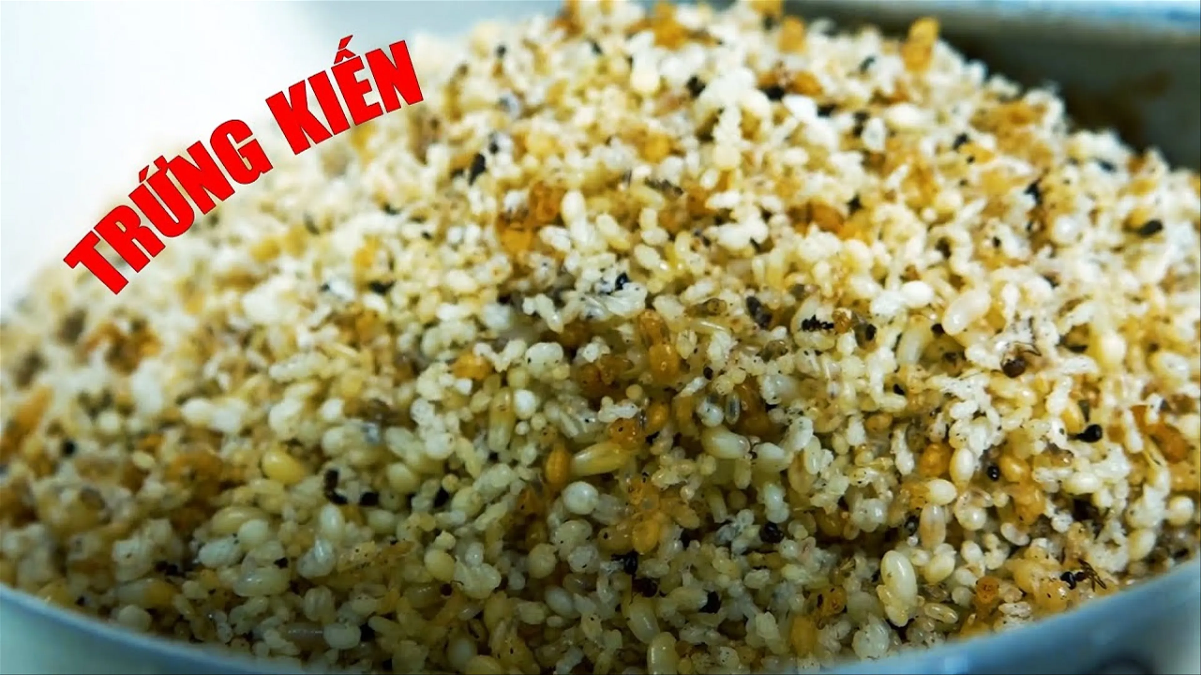 Xôi trứng kiến Lục Ngạn Bắc Giang, món ăn tưởng kinh dị mà hóa ra ngon không tưởng
