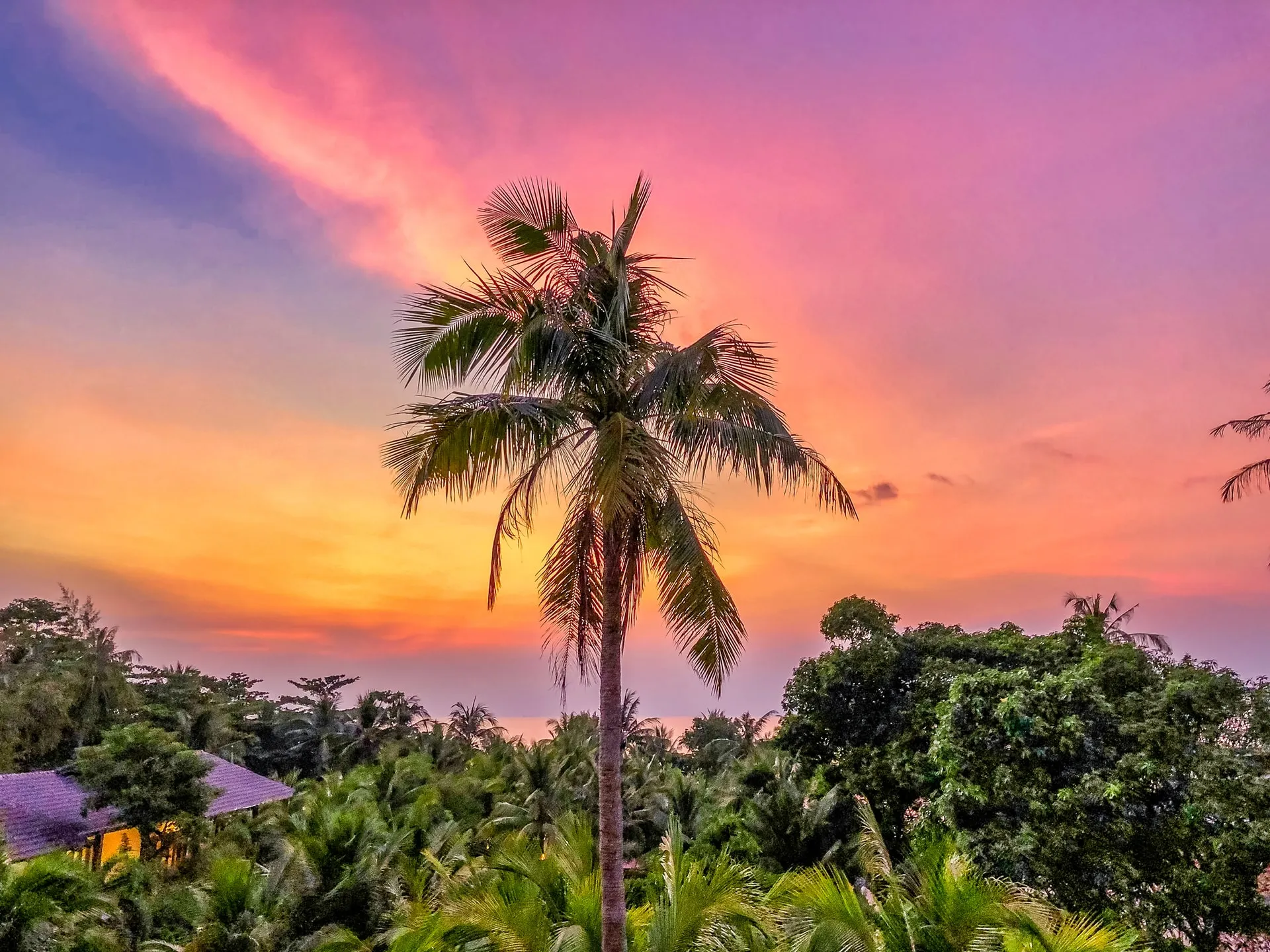 Wild beauty in Phu Quoc, Vietnam
