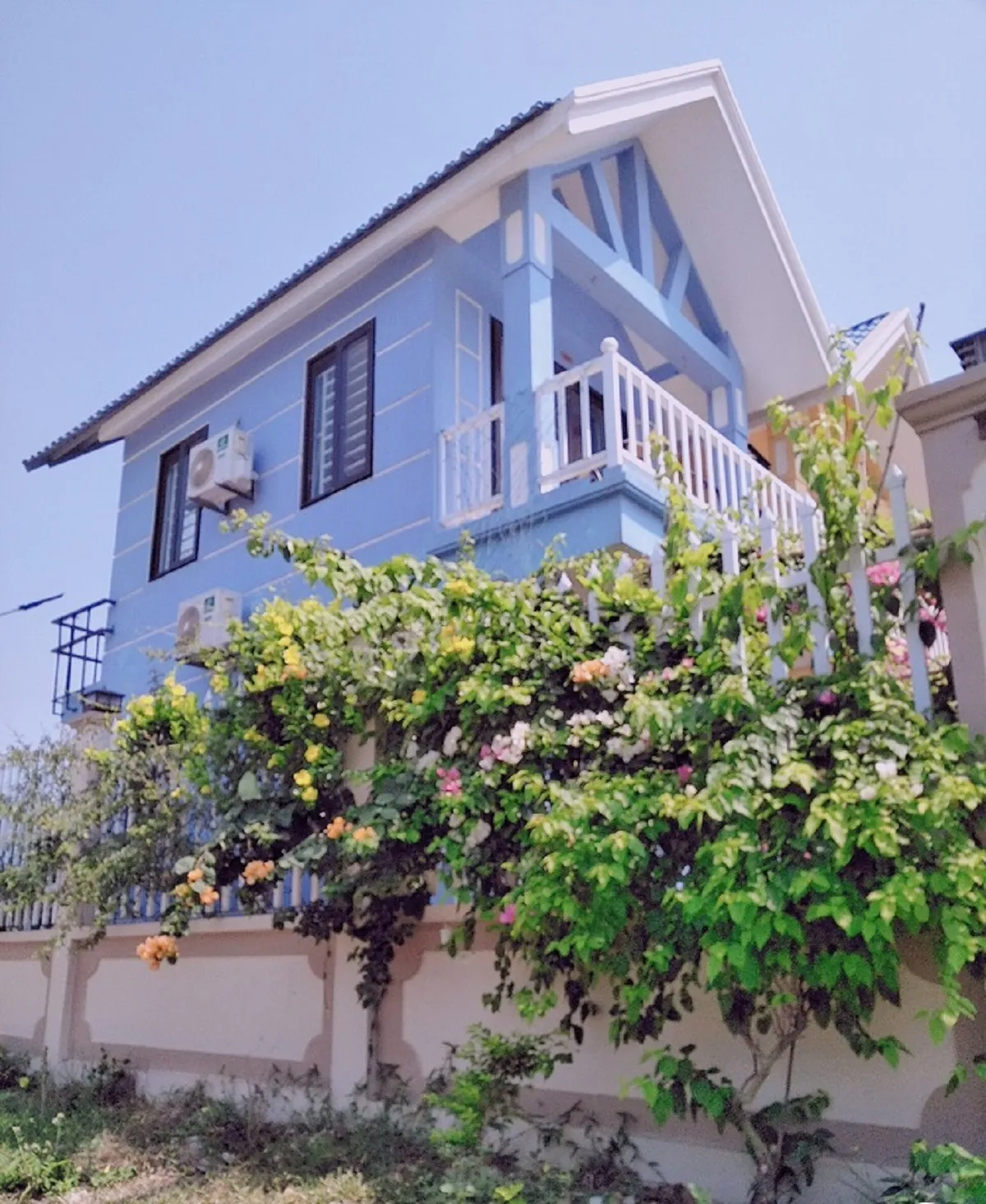 Không gian tràn ngập cây xanh của homestay
