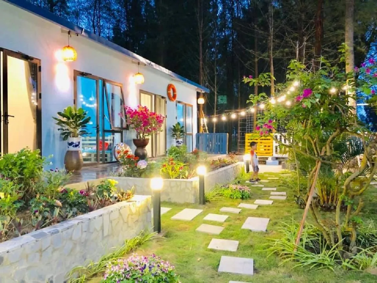 Hương homestay lung linh trong đêm