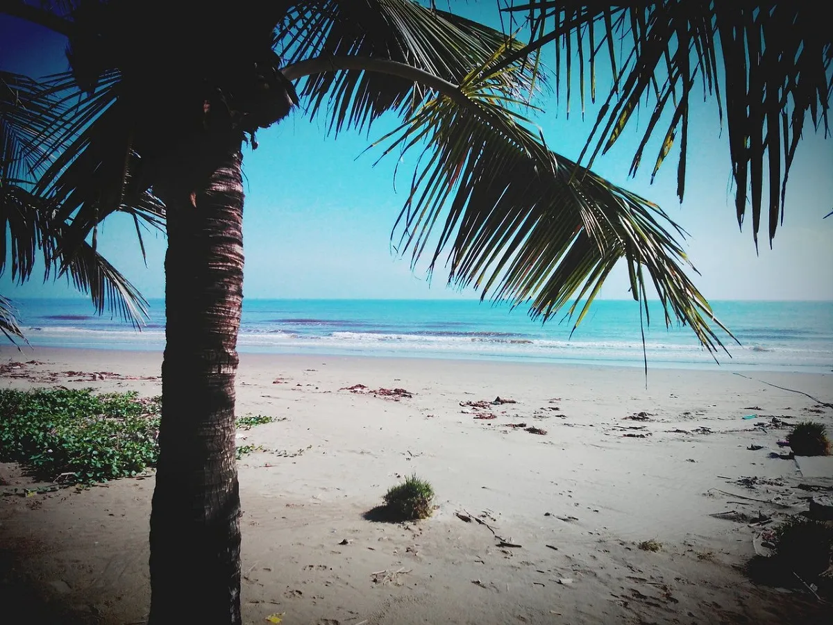 Semec Nghi Sơn Homestay có view ra bãi Đông đẹp mắt