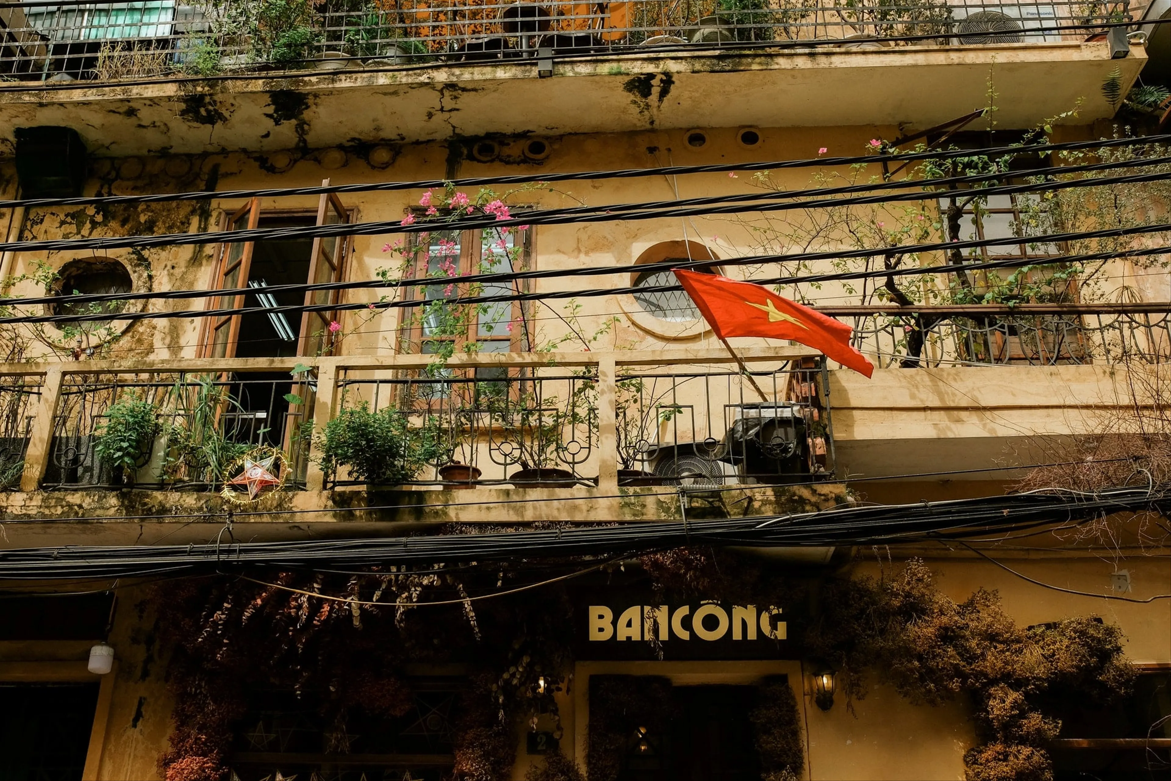 The 6 Best Hostels in Hanoi