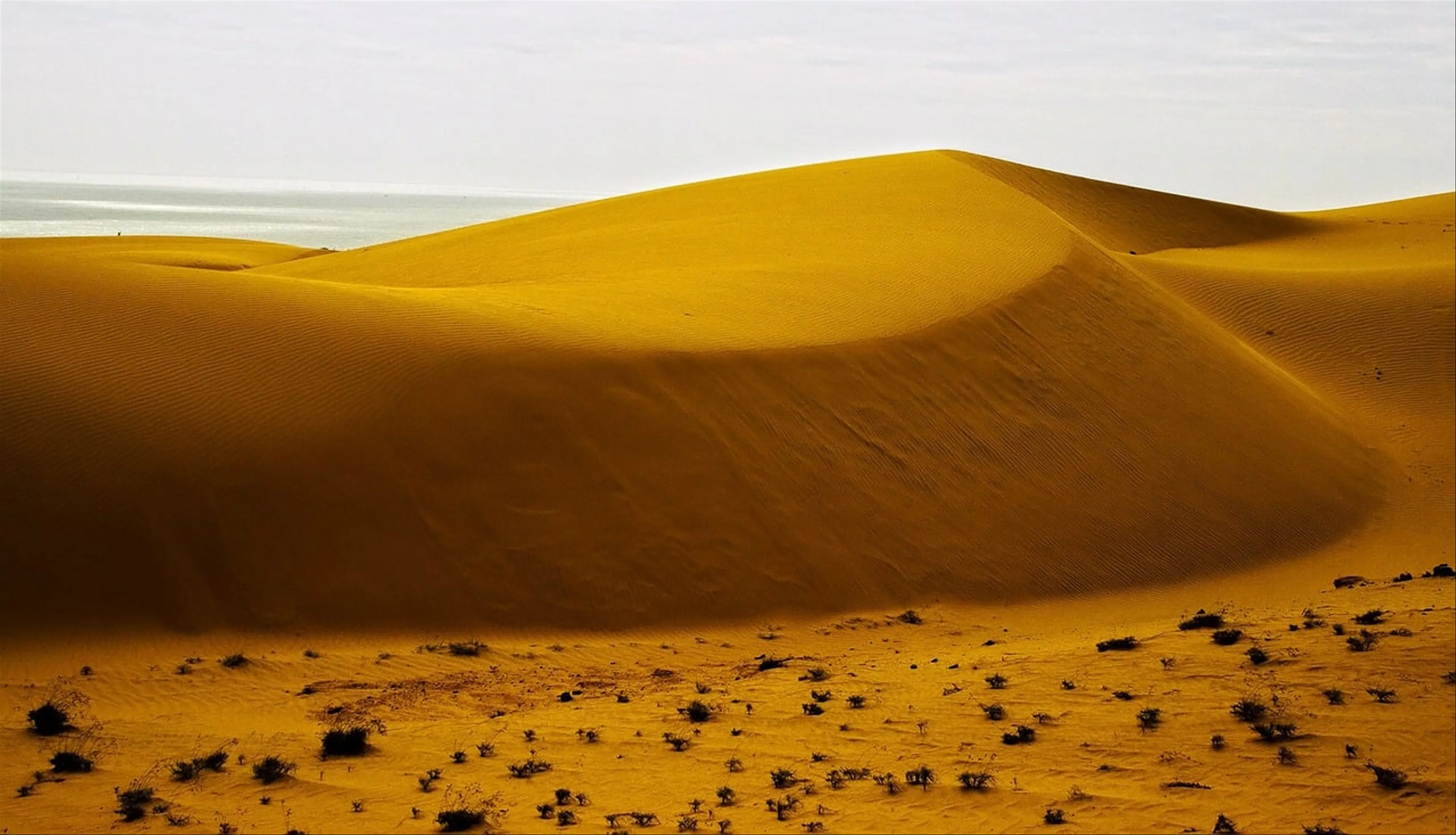 Exploring The Sand Dunes of Mui Ne, Vietnam