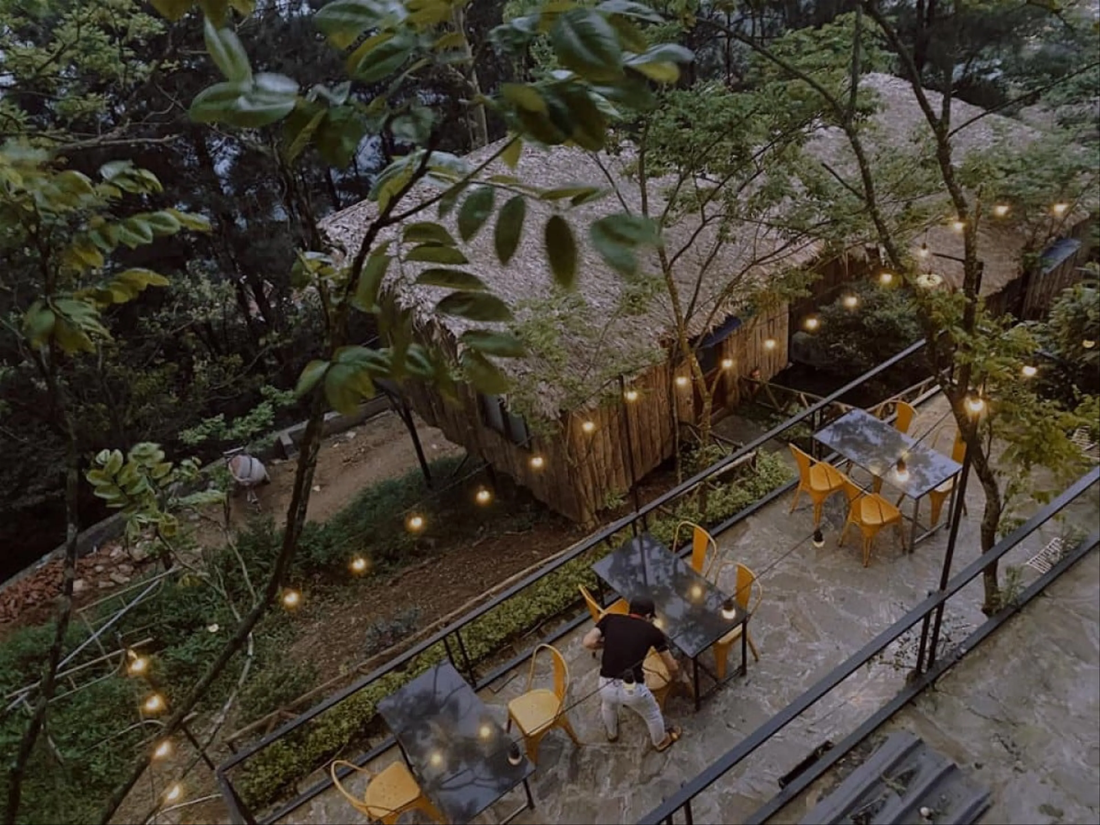 Phá đảo 10 homestay được giới trẻ săn lùng khi đi du lịch Tam Đảo