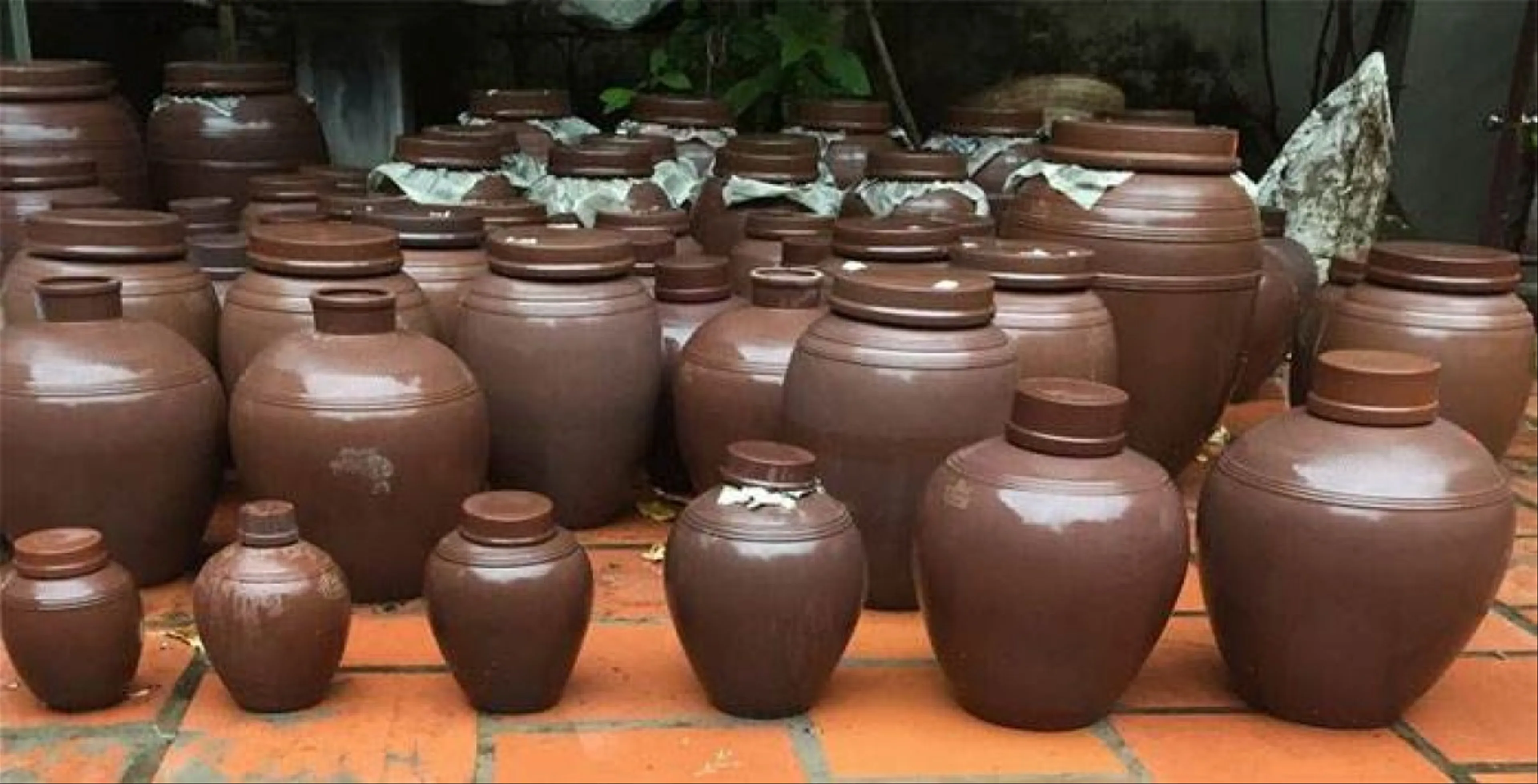 Đến Hà Tĩnh thử rượu nếp Can Lộc khiến bạn say quên lối về