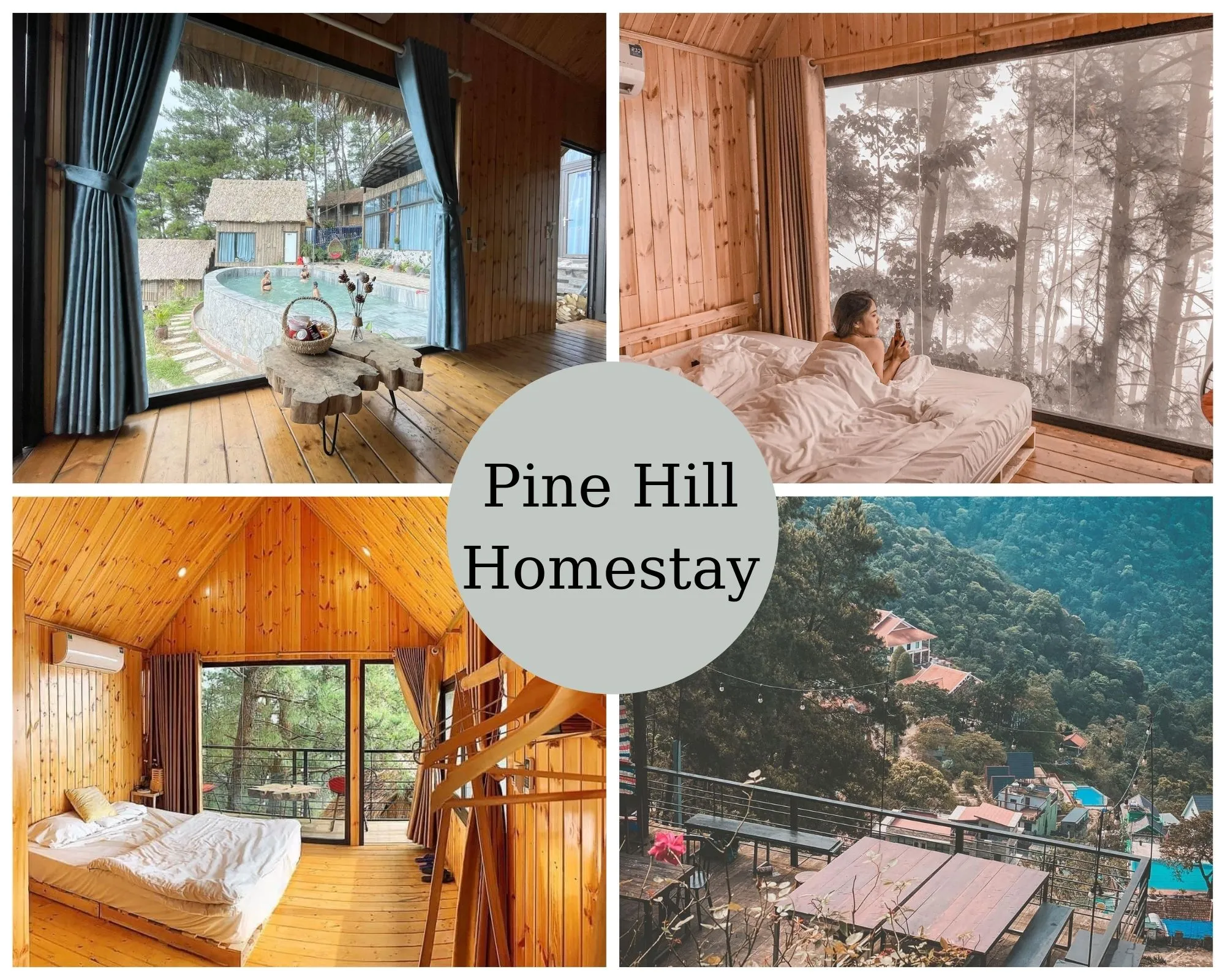 Pine Hill Homestay Tam Đảo