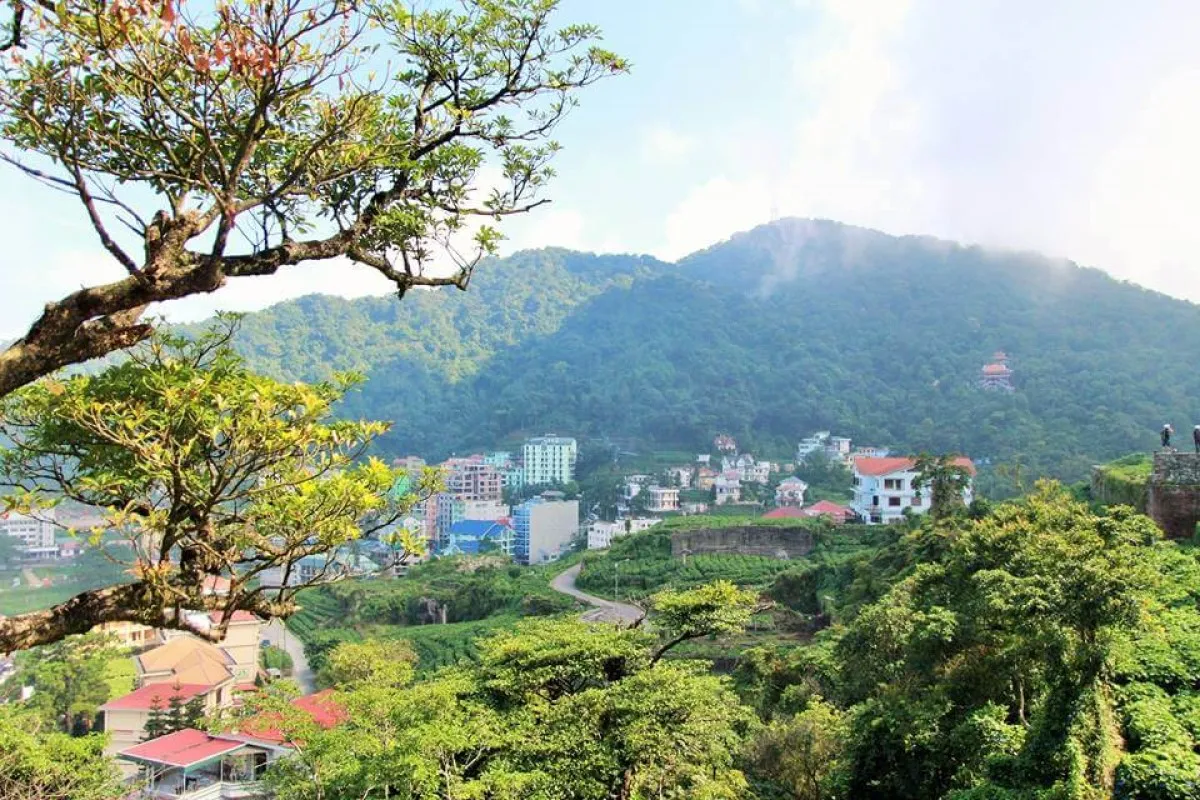 du lịch Tam Đảo