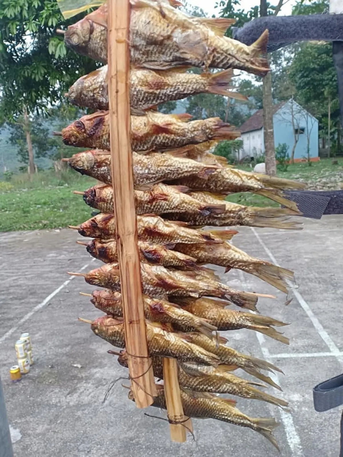 Khu du lịch sinh thái suối khoáng nóng Sơn Kim