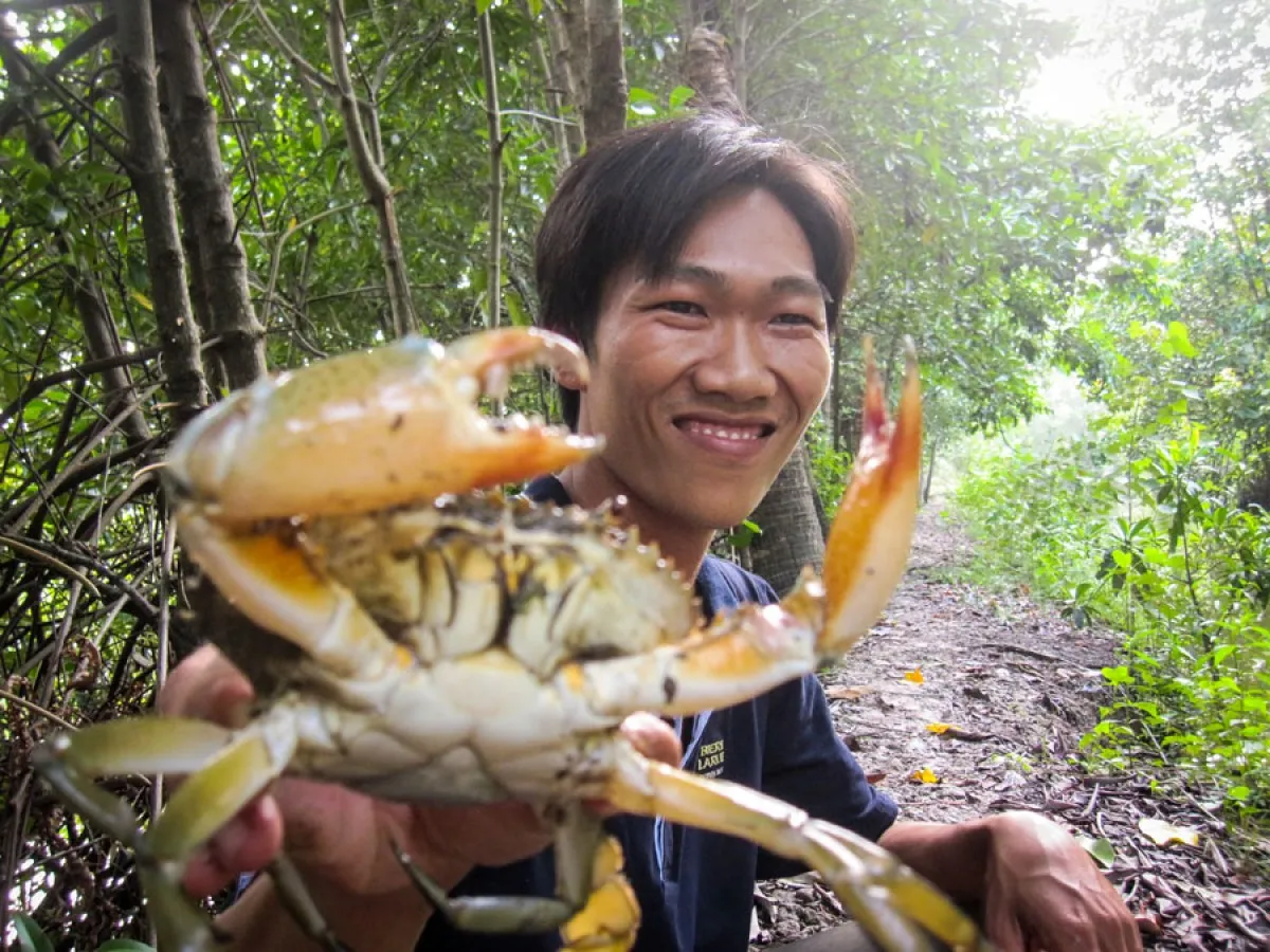 Bắt cua, câu cua
