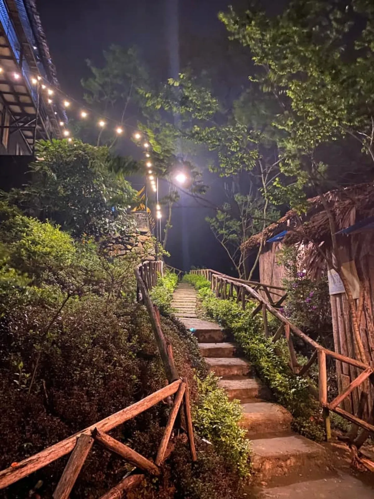 Chillout Village Homestay Tam Đảo