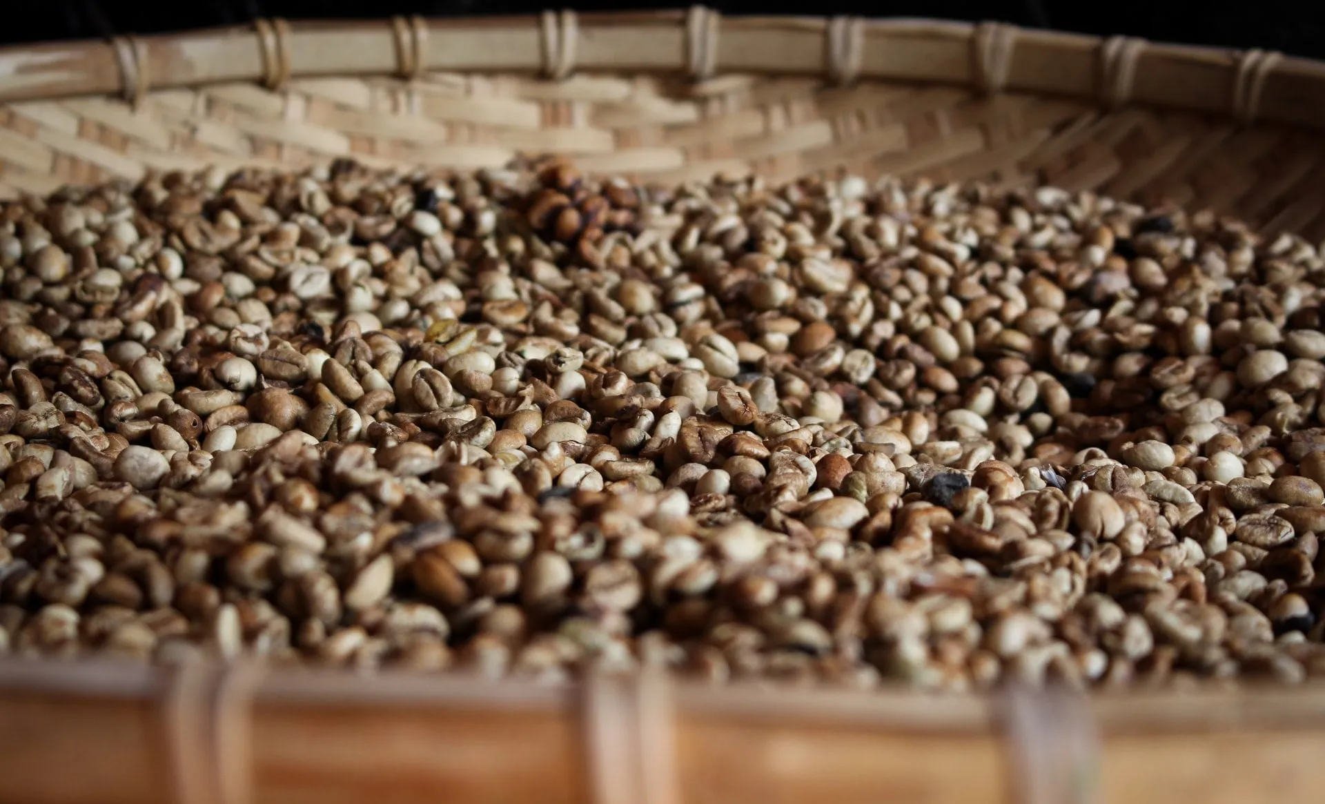 dried coffee beans