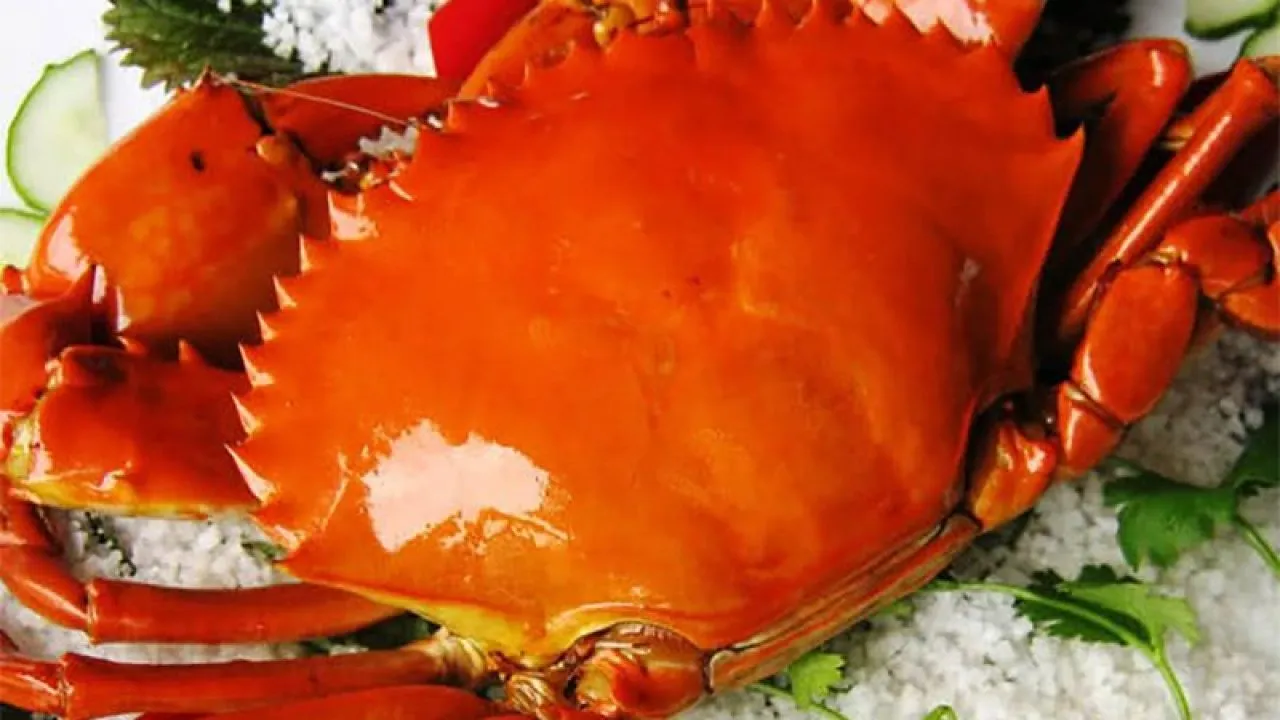 Cua biển Cà Mau