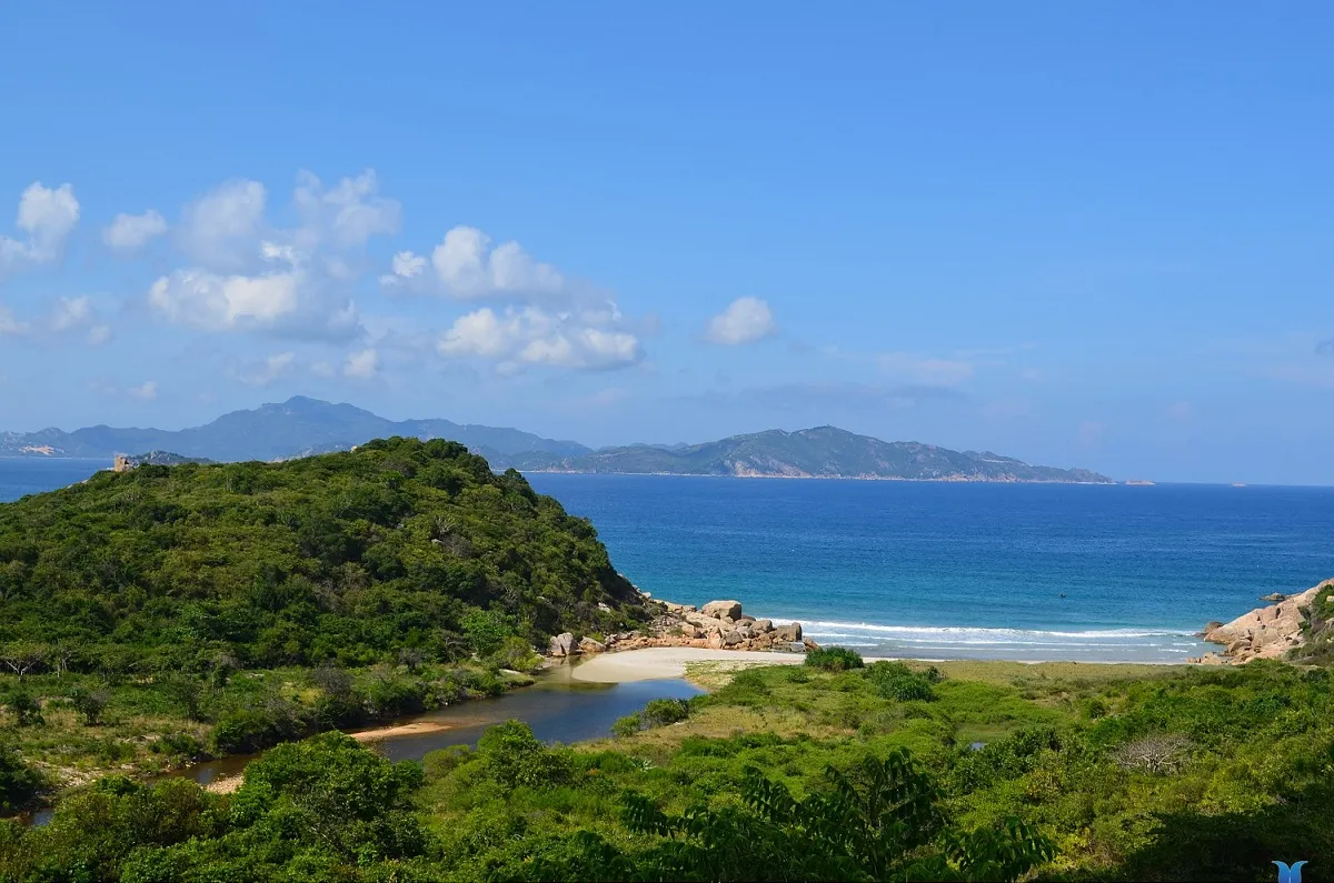 Đảo Hòn Chùa