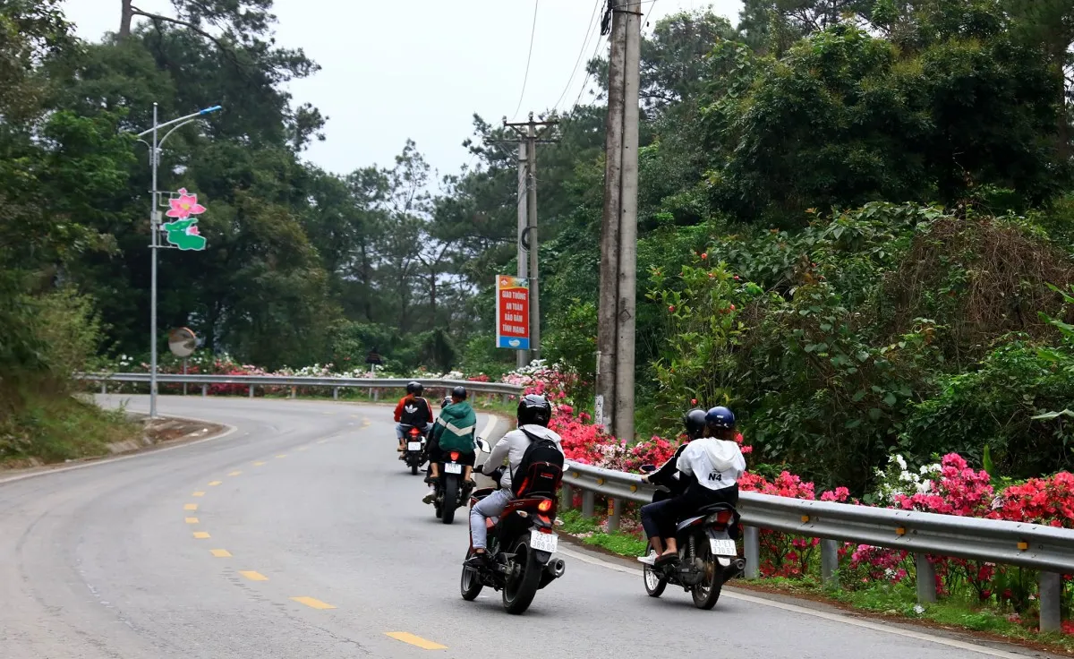 du lịch Tam Đảo