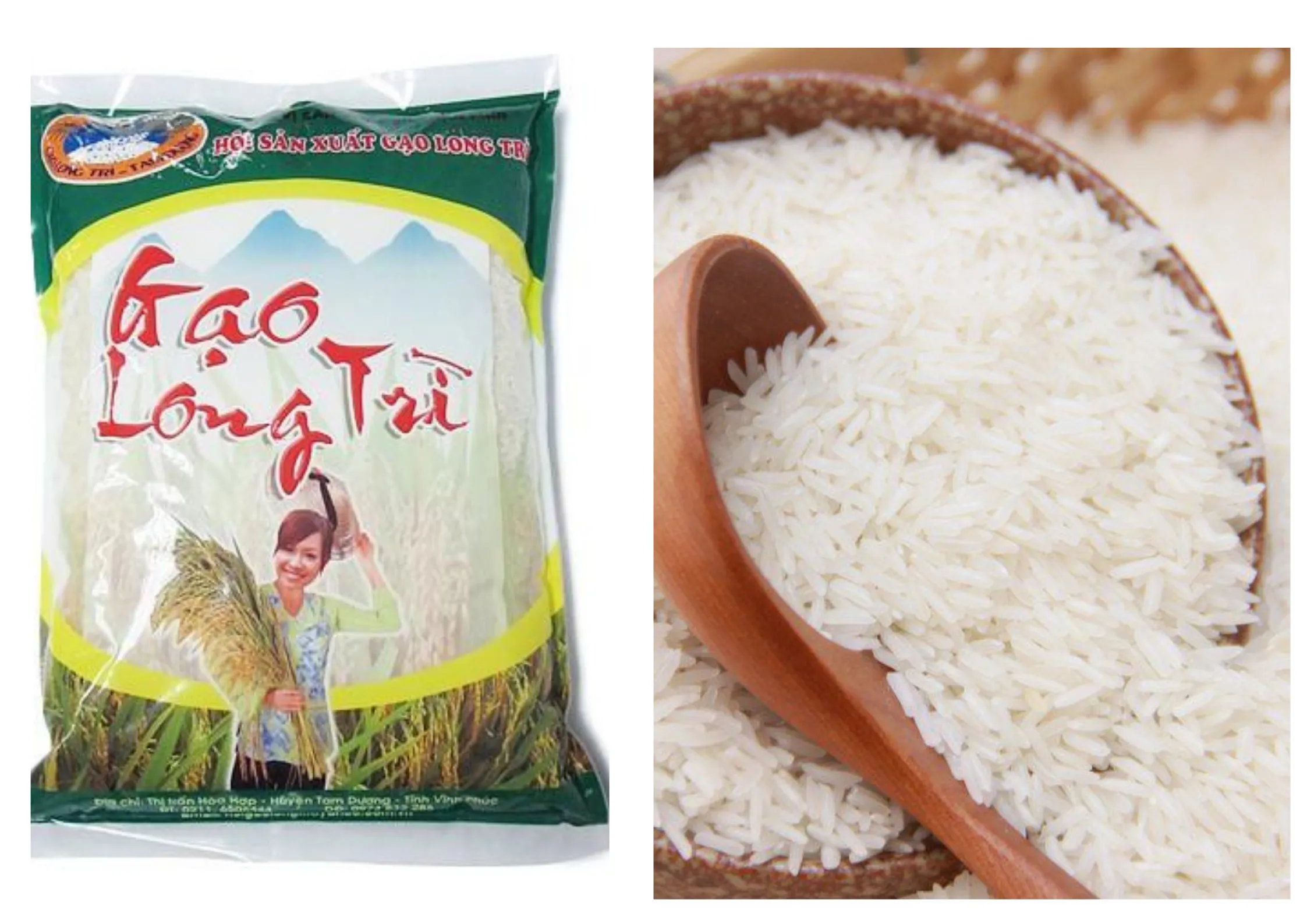 Gạo Long Trì Vĩnh Phúc