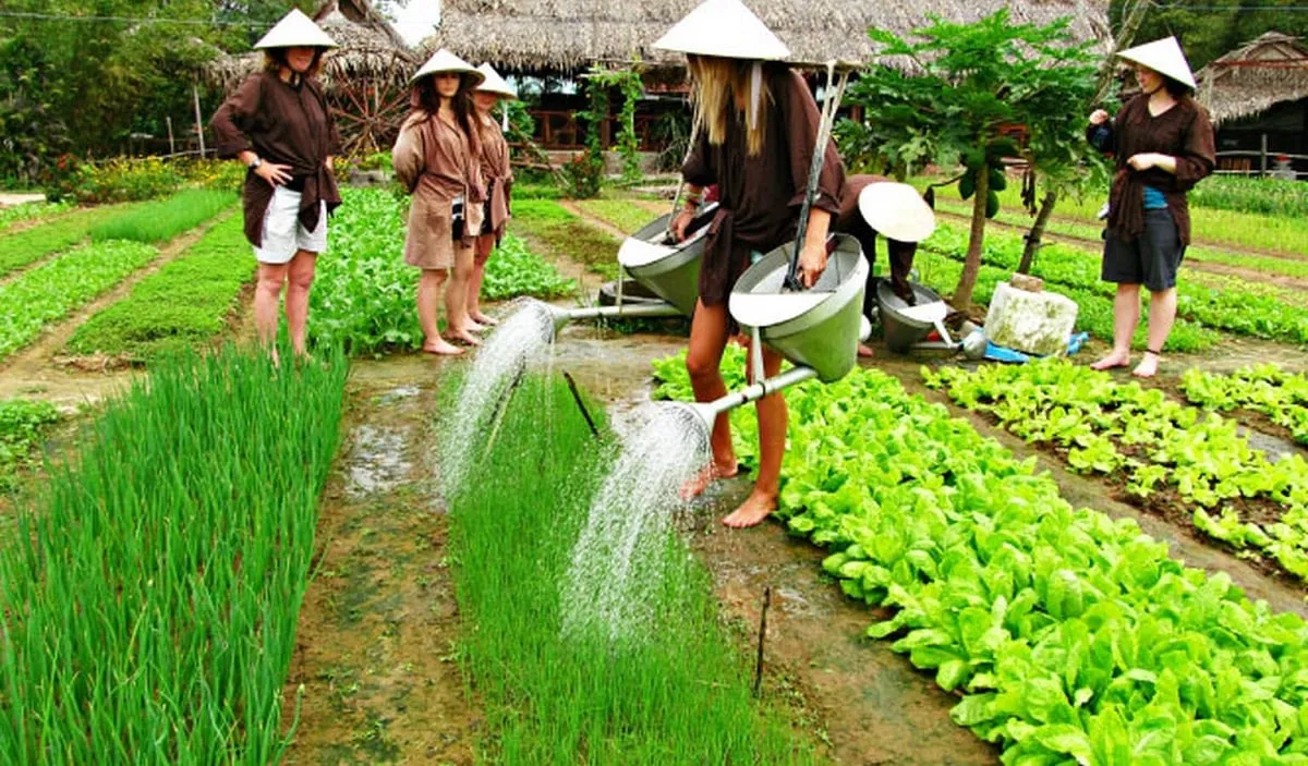 làng rau Trà Quế
