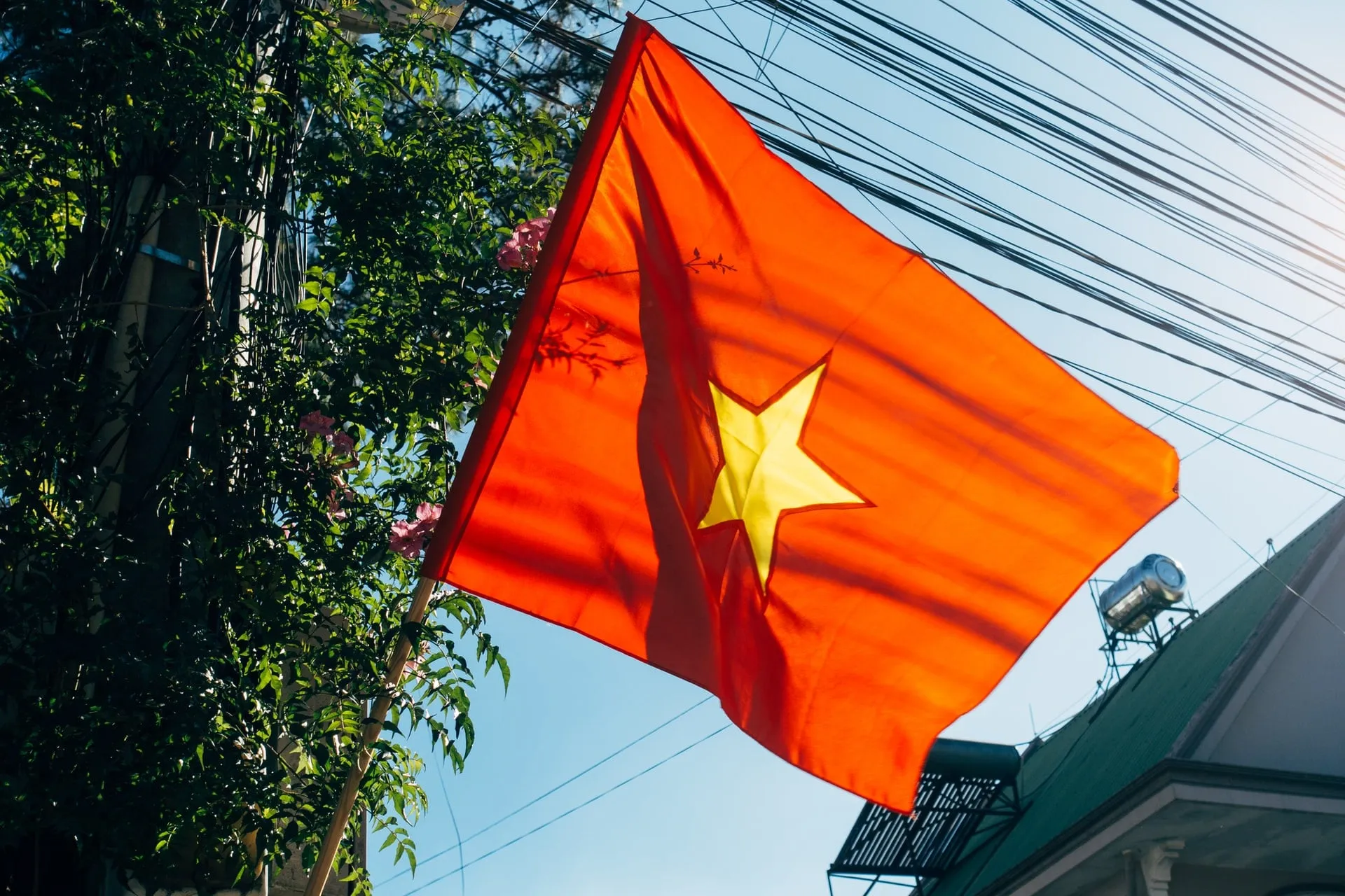 Vietnam flag hanging in a tree pole