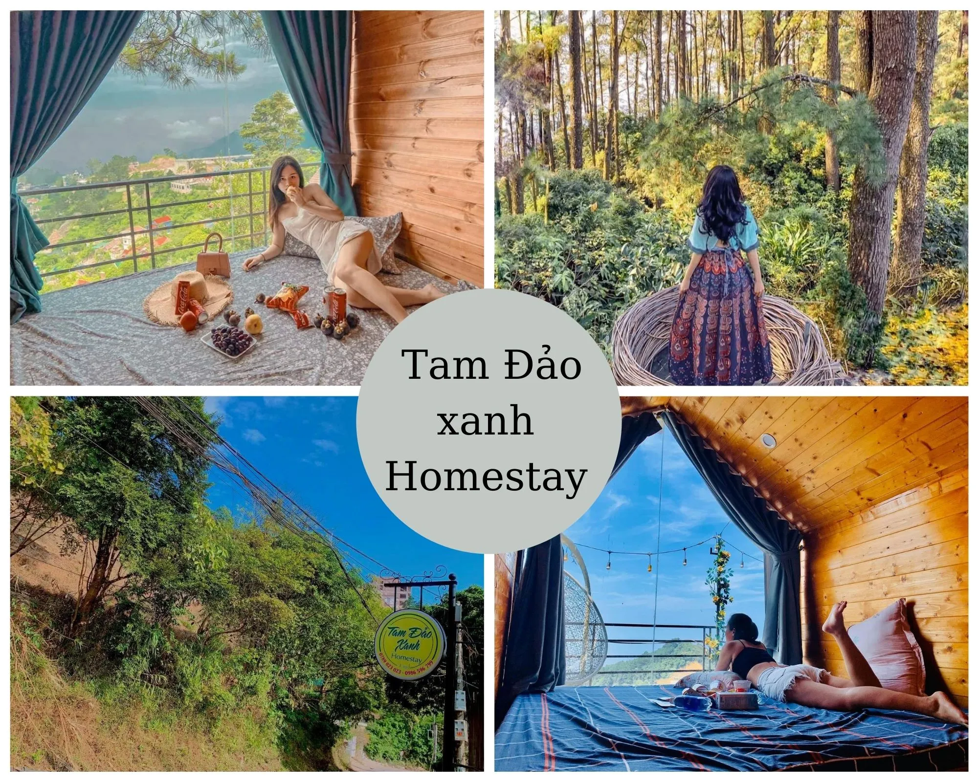Tam Đảo xanh Homestay
