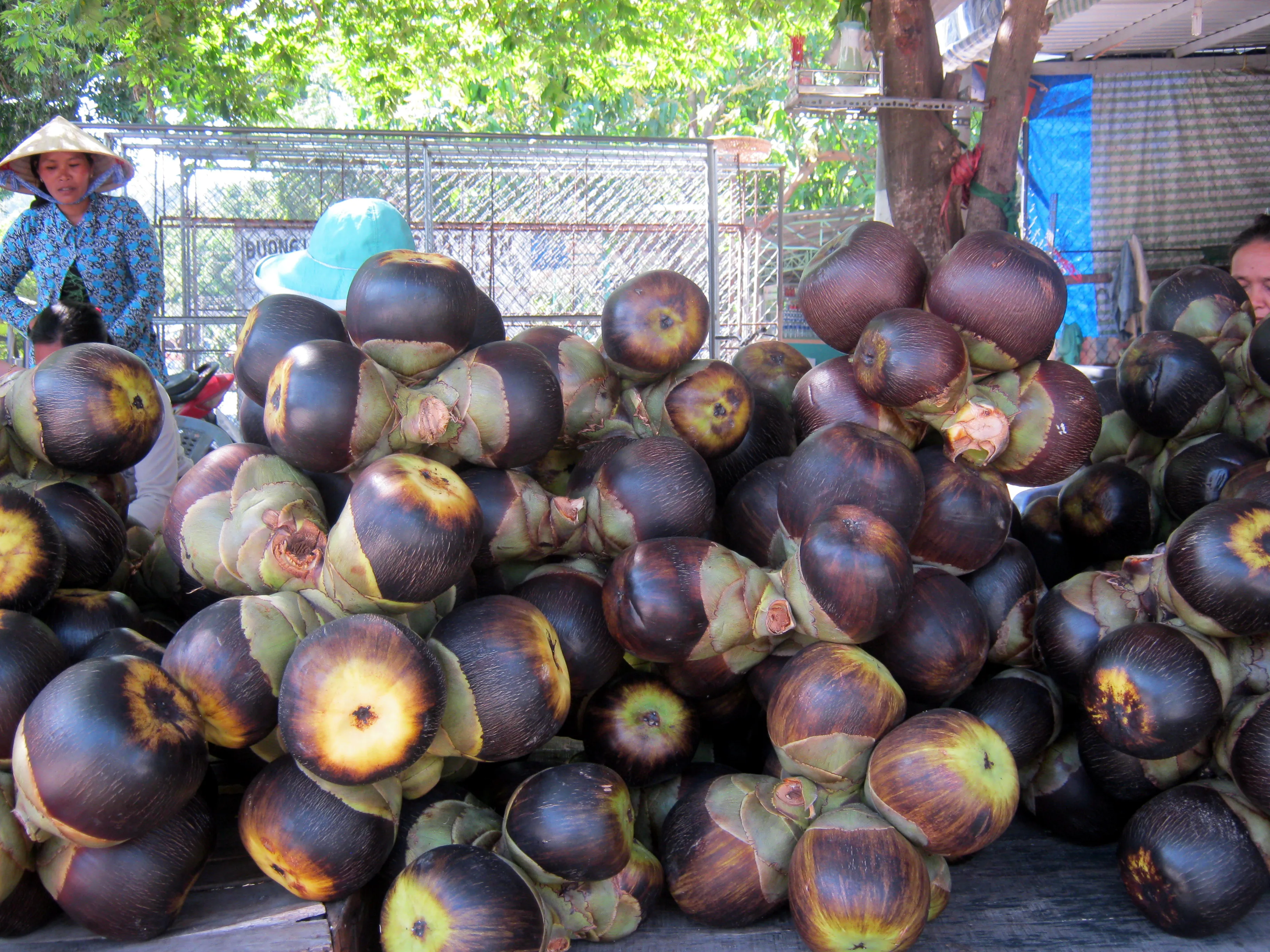 Bánh thốt nốt
